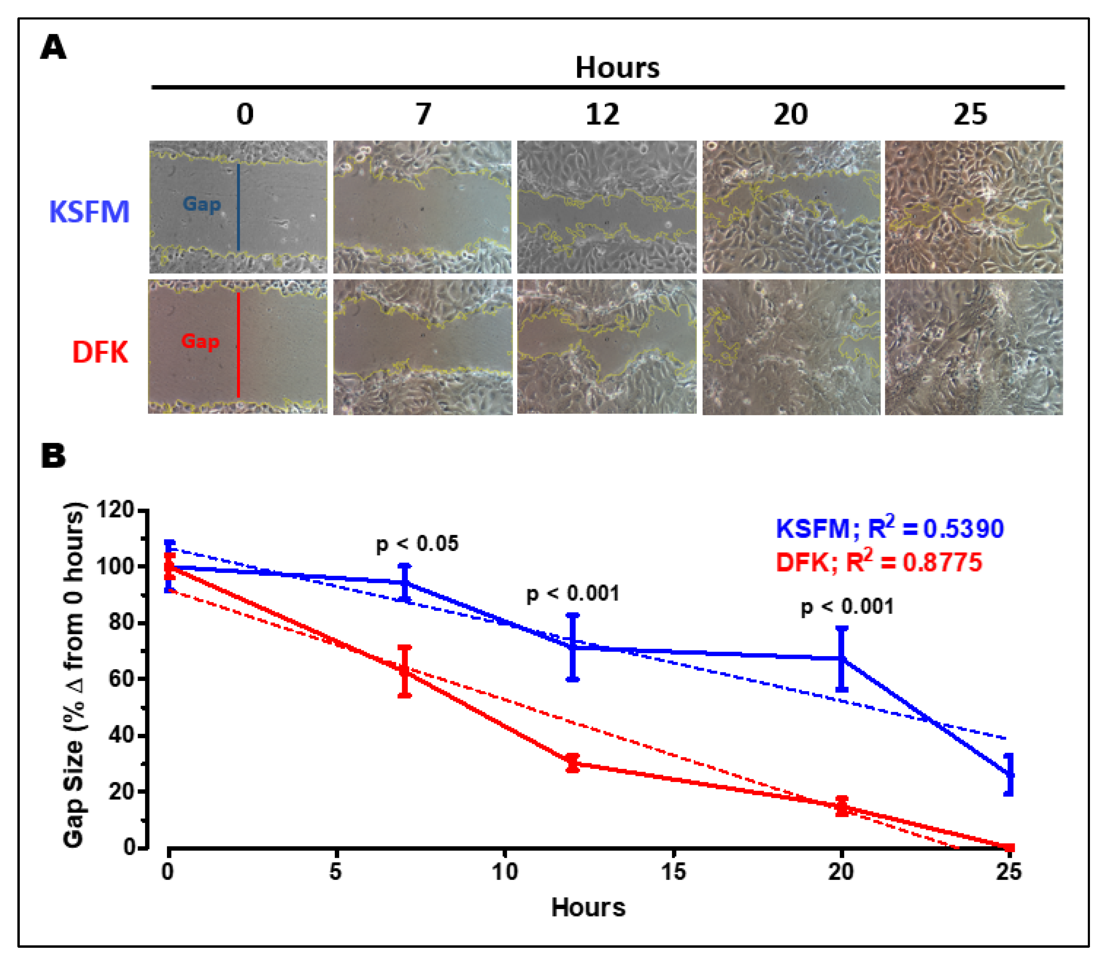 Preprints 67061 g006