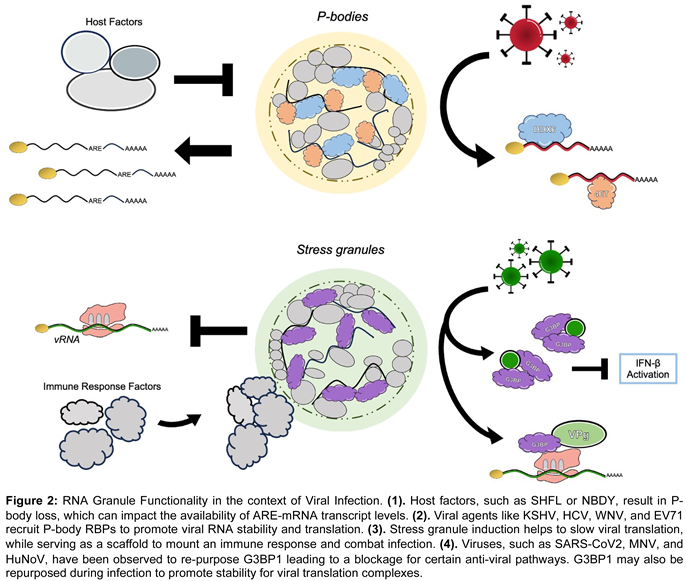 Preprints 93509 i002