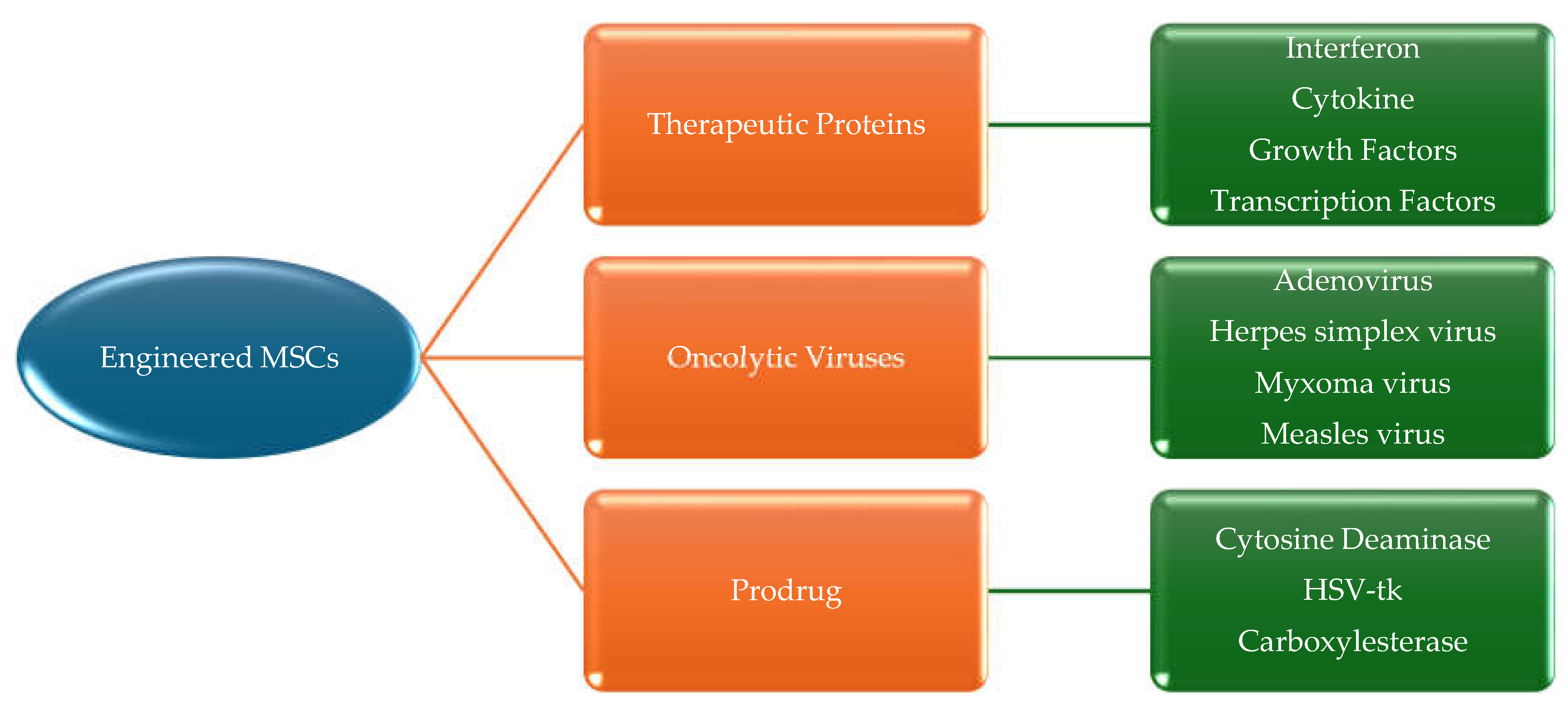 Preprints 110530 g005