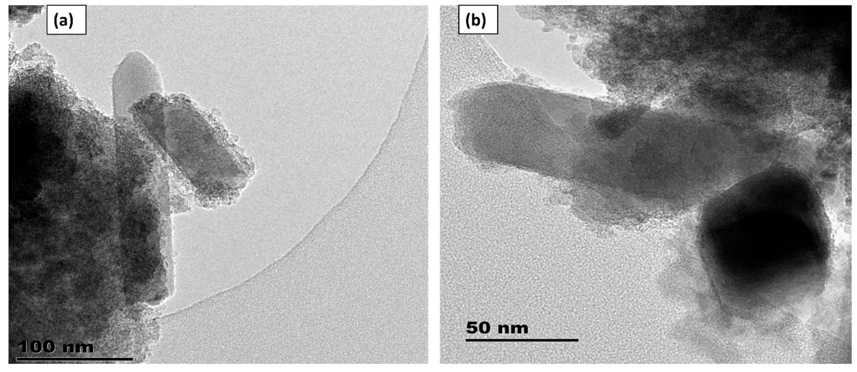 Preprints 119457 g001a