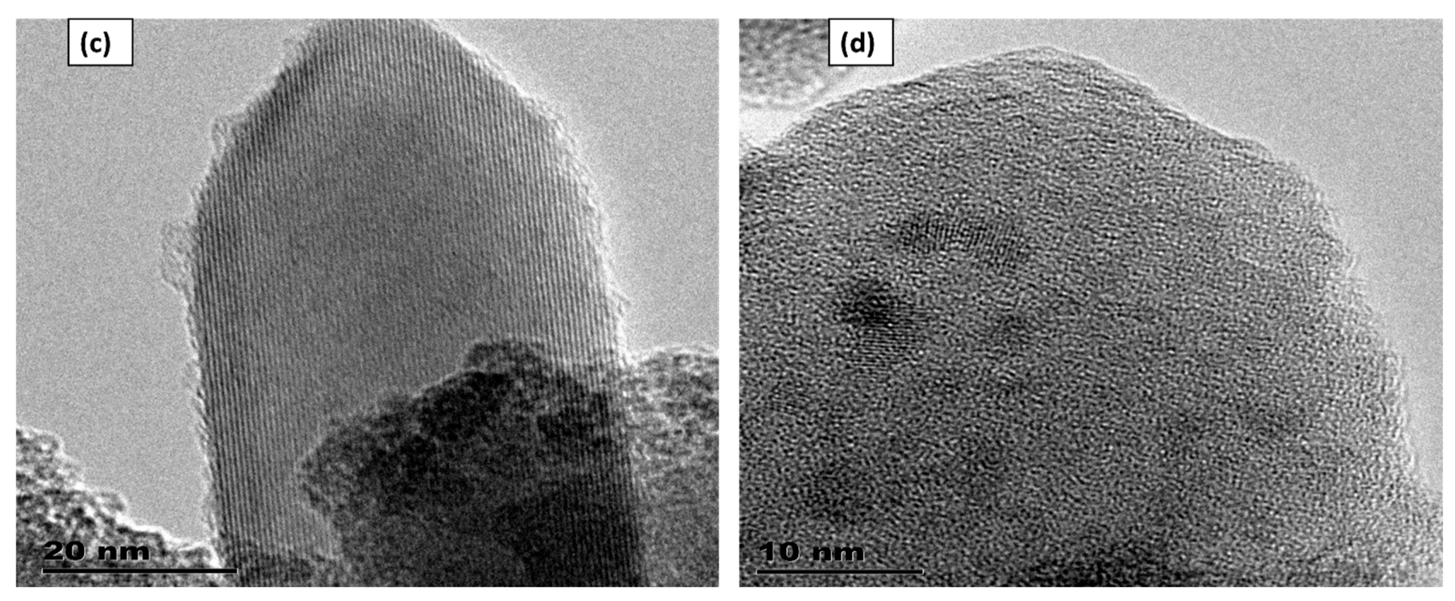 Preprints 119457 g001b