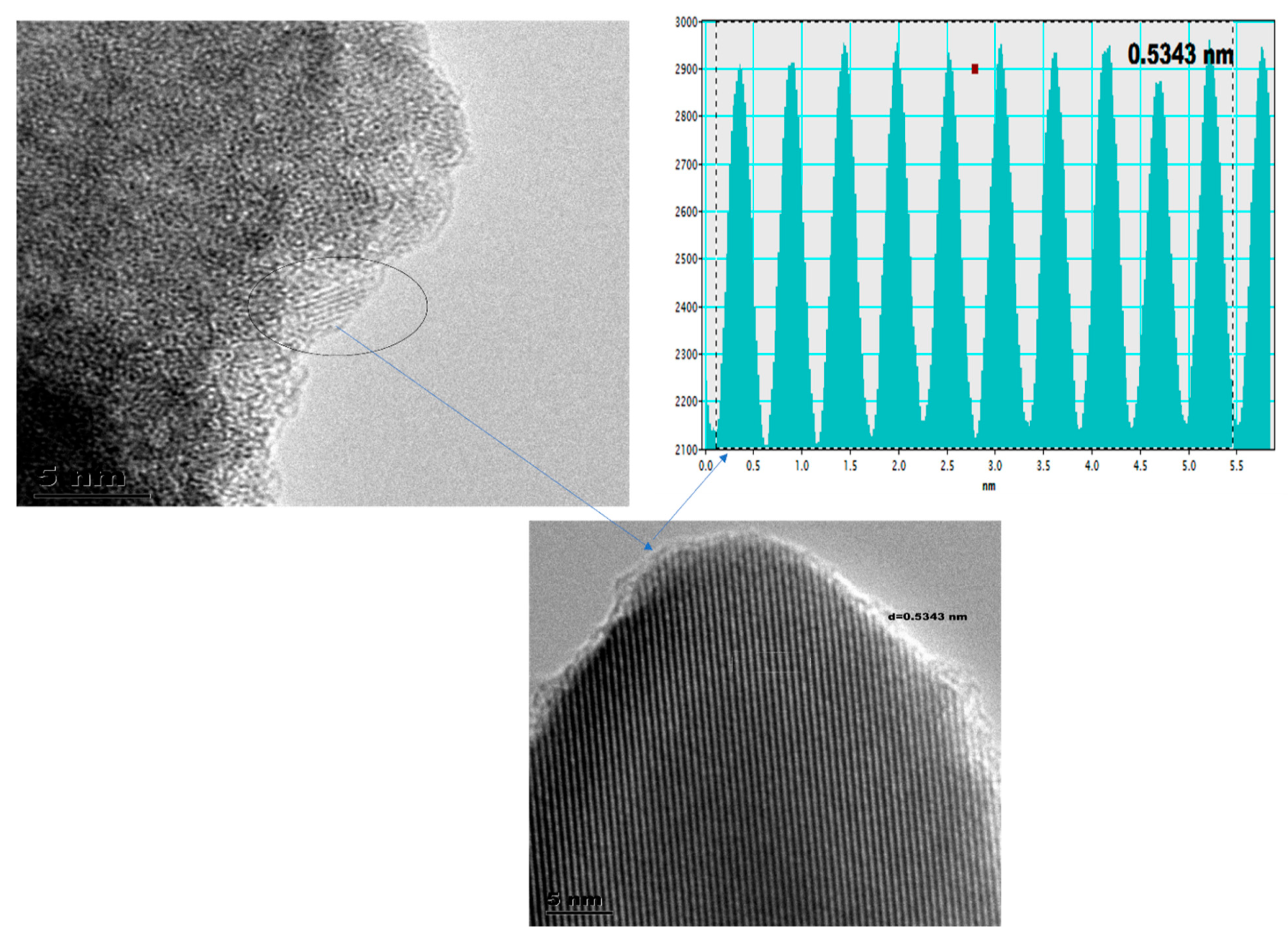 Preprints 119457 g003