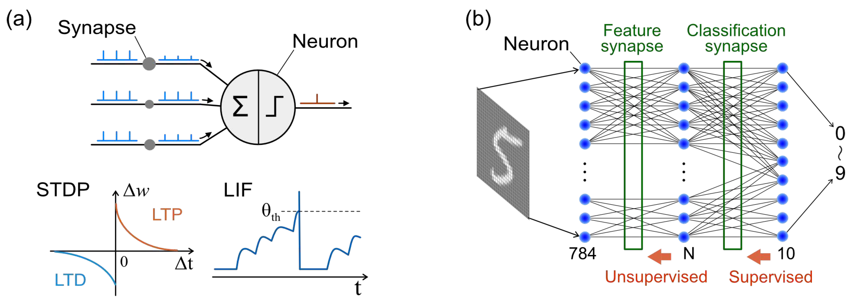 Preprints 95548 g002