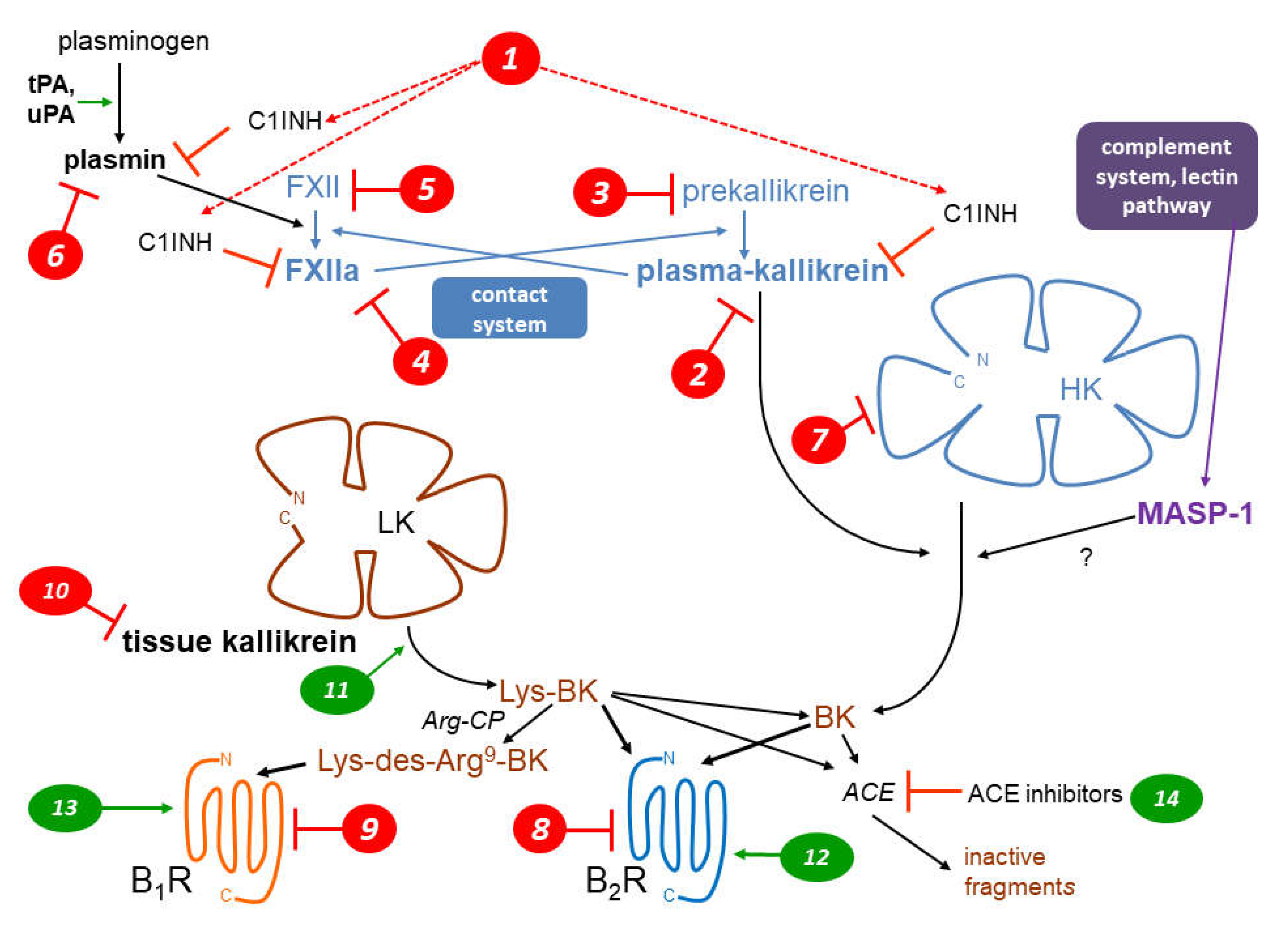 Preprints 73513 g001