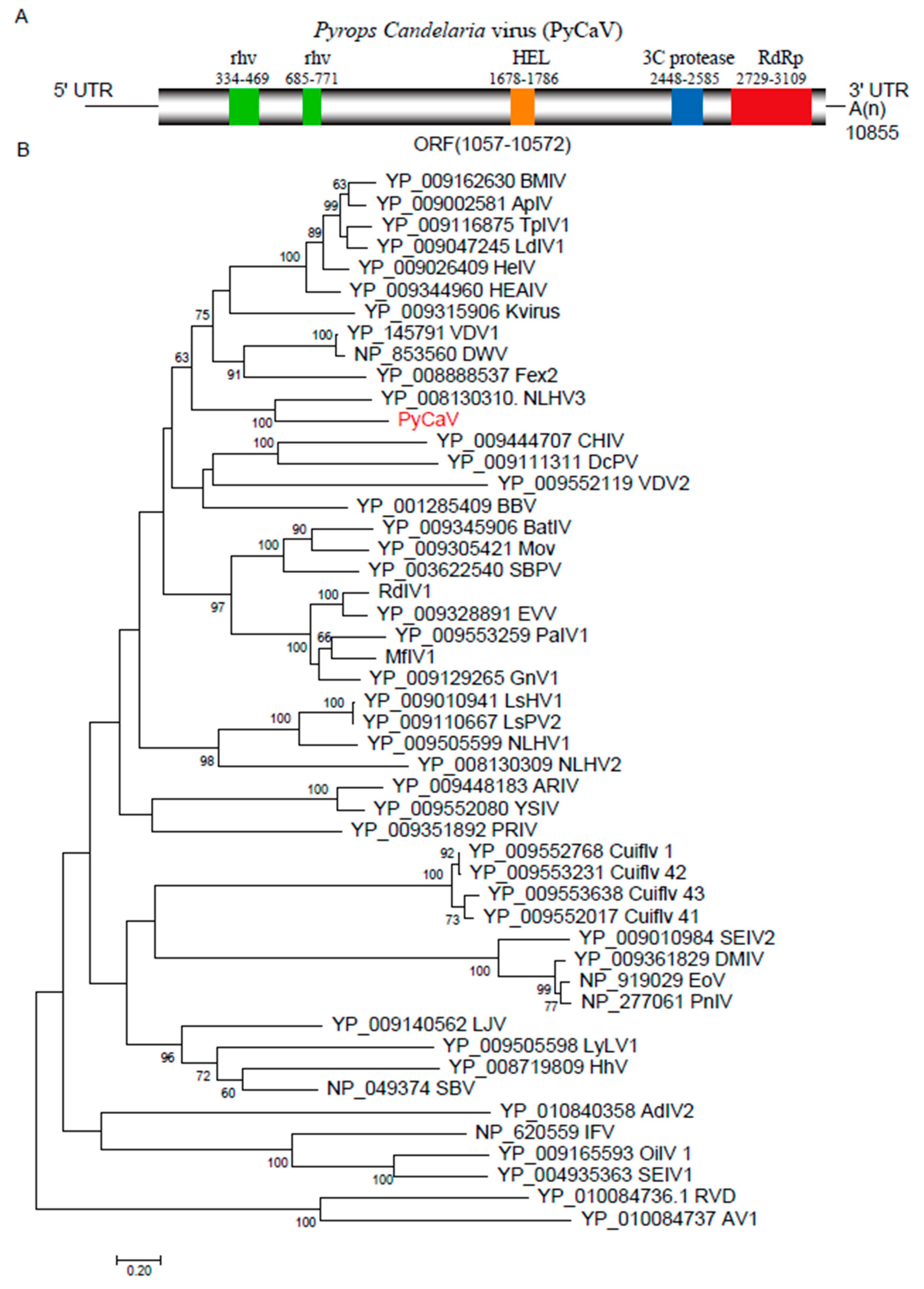 Preprints 109239 g002