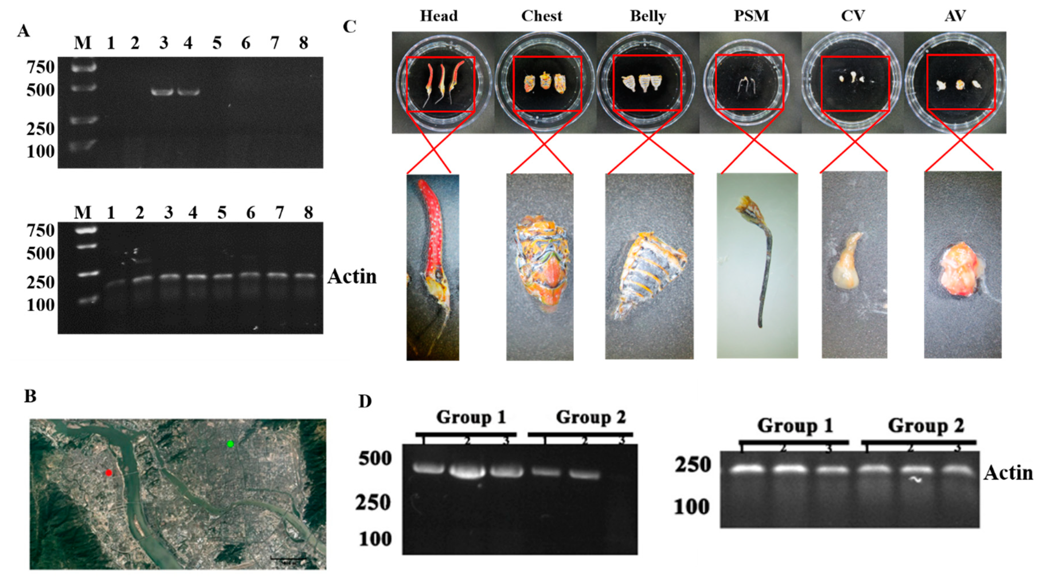 Preprints 109239 g003