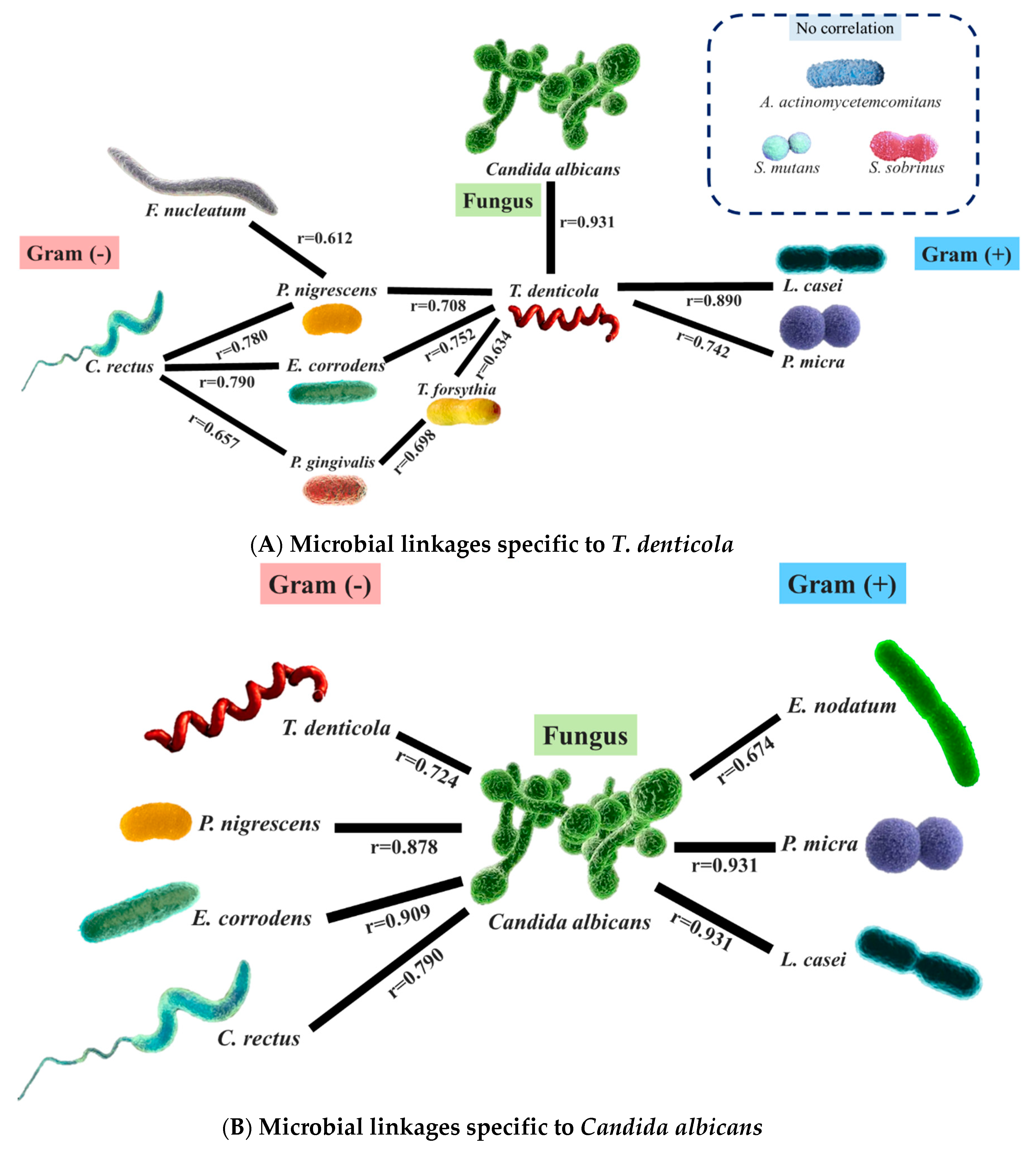 Preprints 116252 g003a