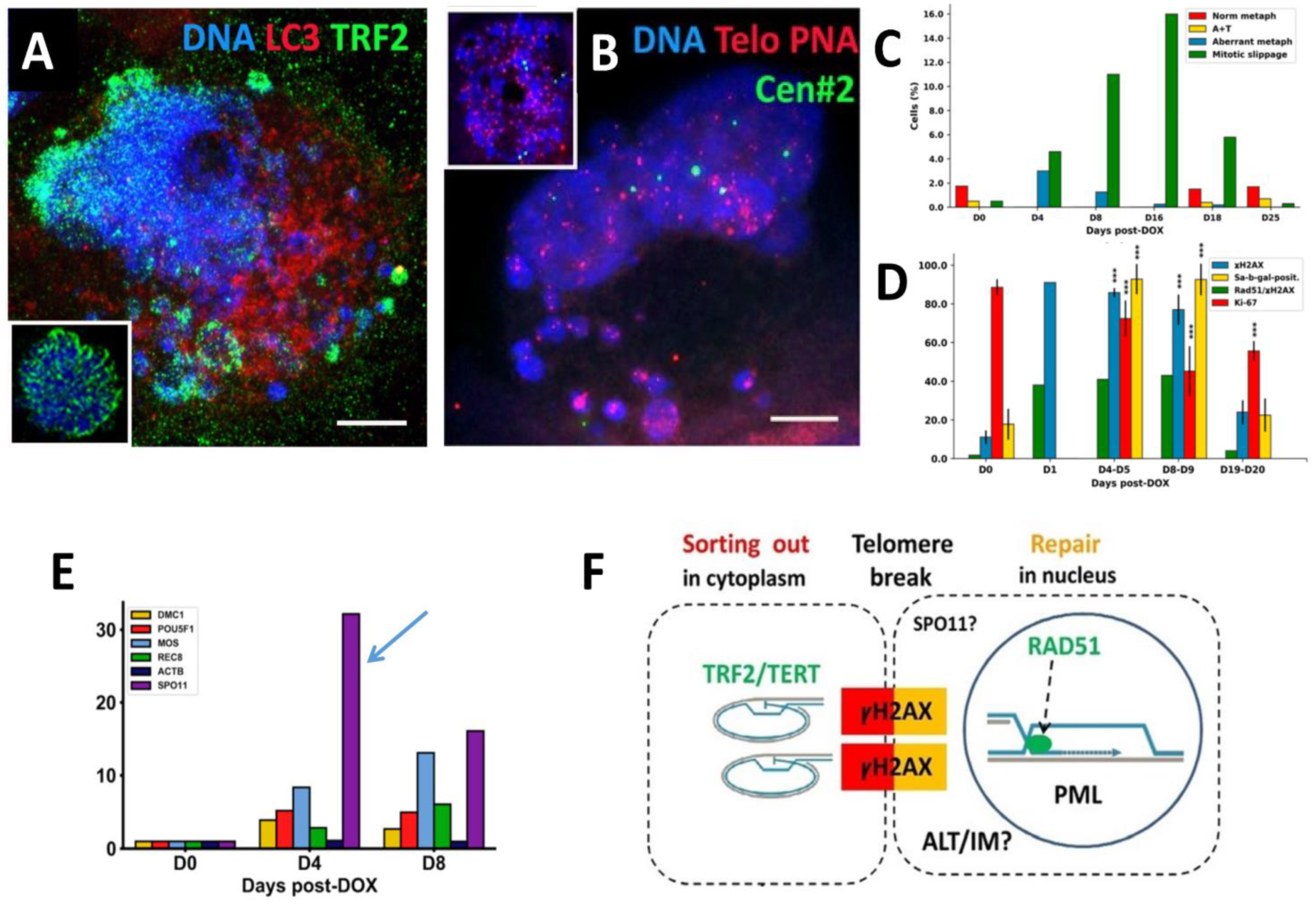 Preprints 95536 g001