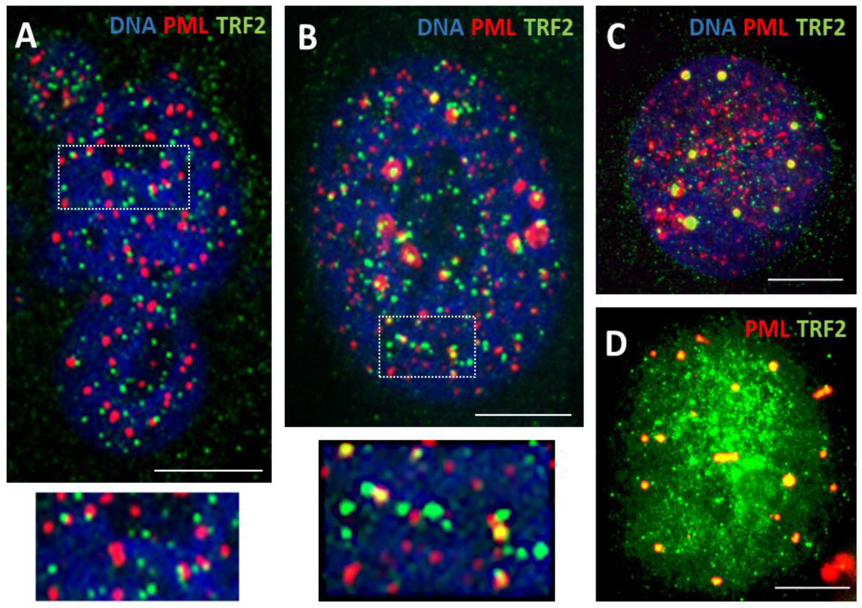 Preprints 95536 g002