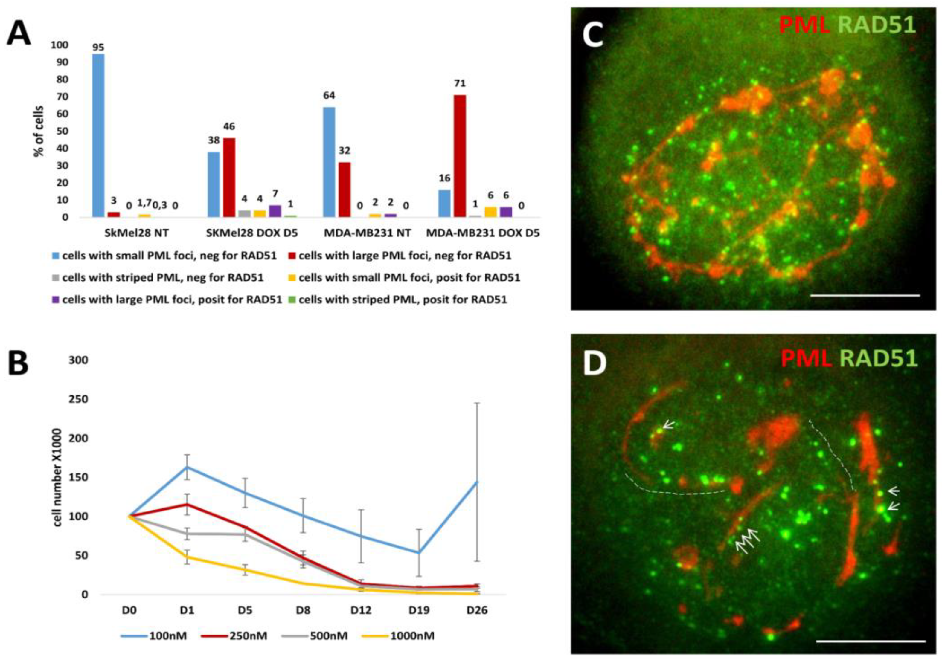 Preprints 95536 g006