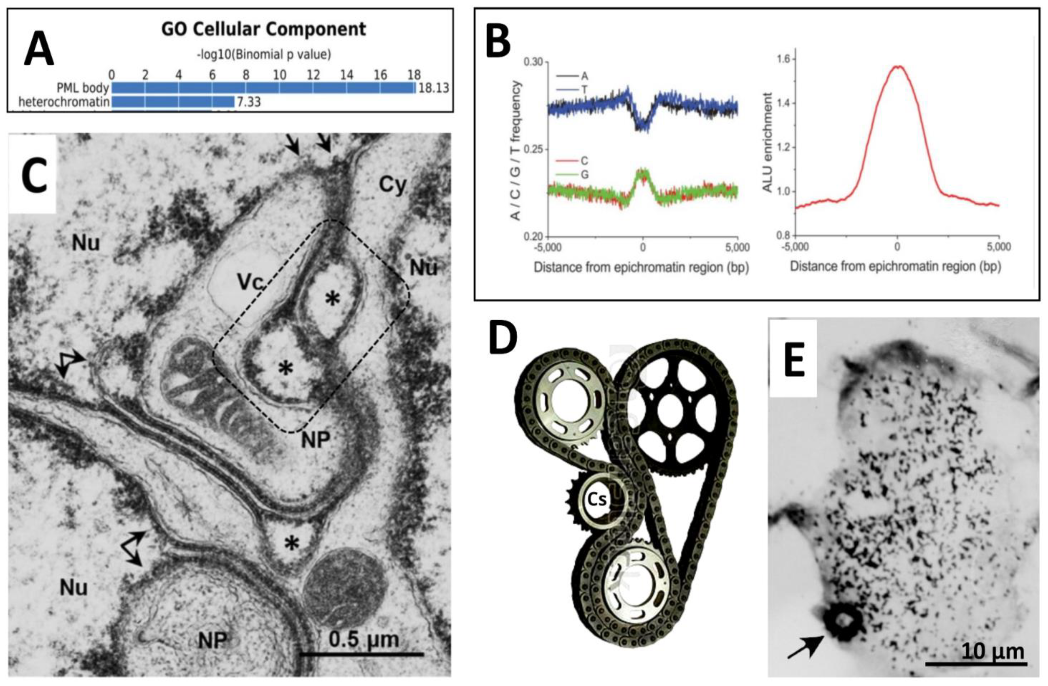 Preprints 95536 g011