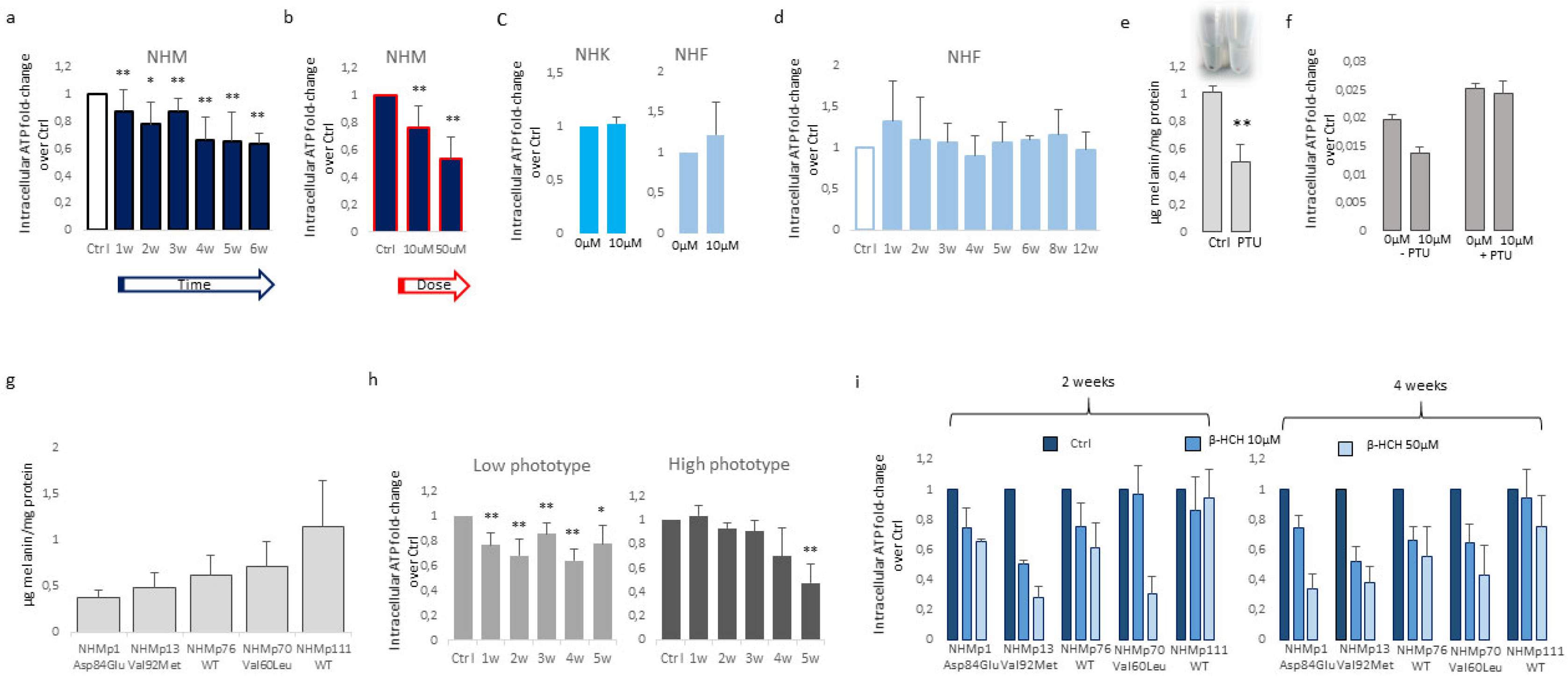 Preprints 94468 g002