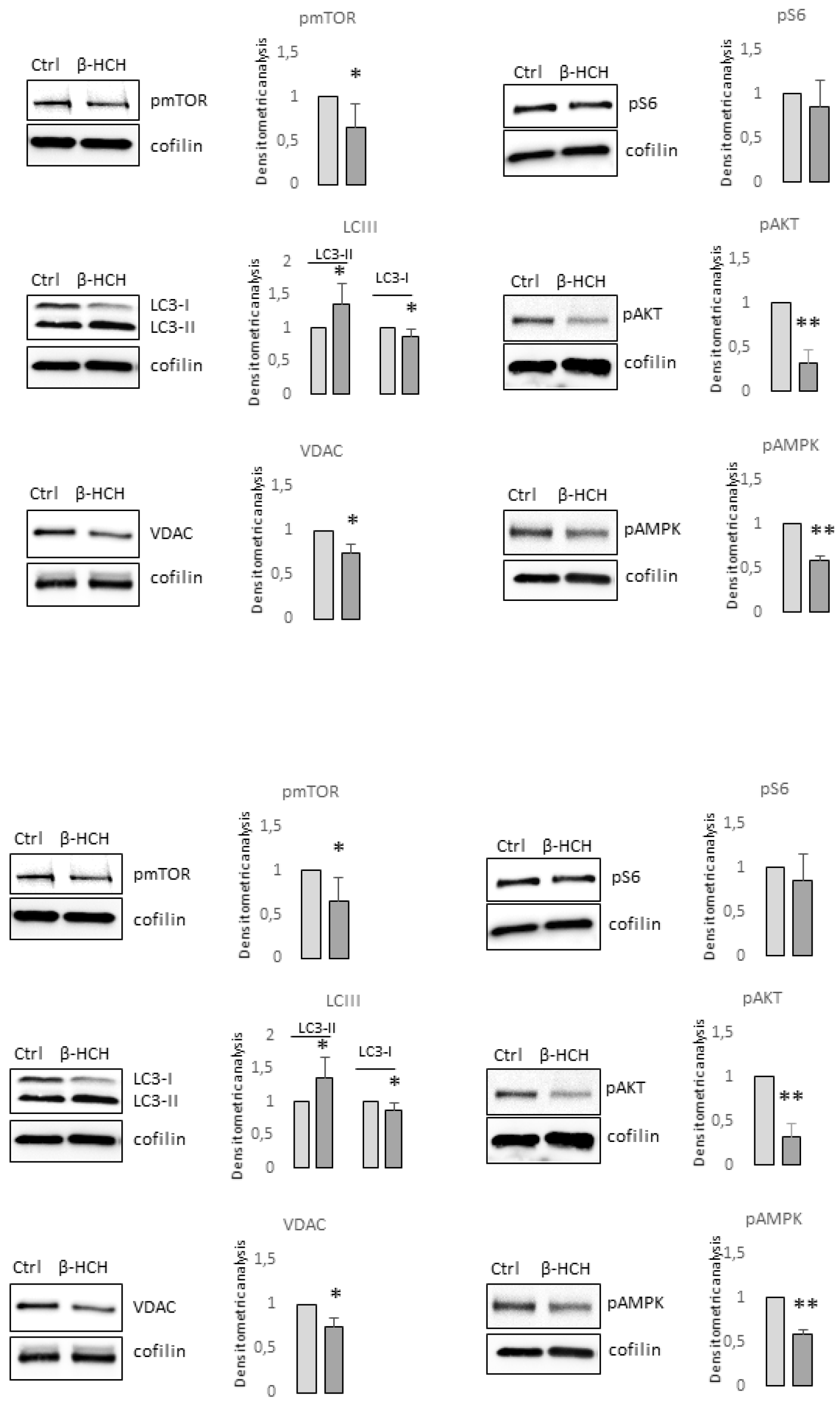 Preprints 94468 g004