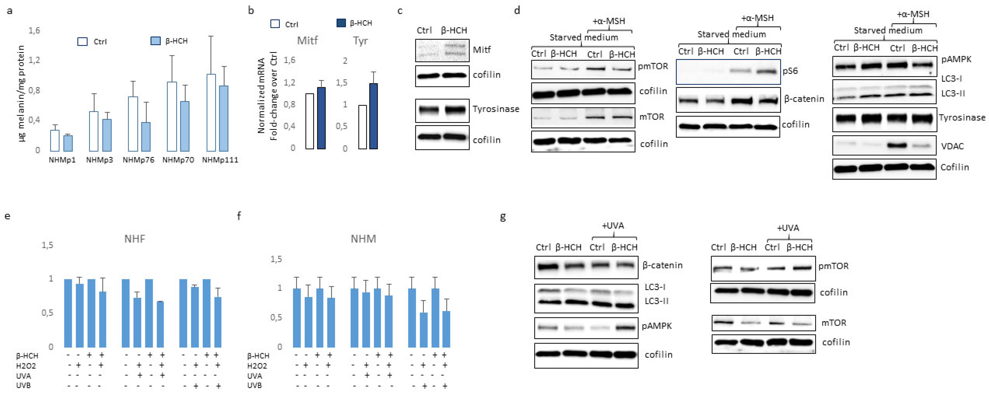 Preprints 94468 g005