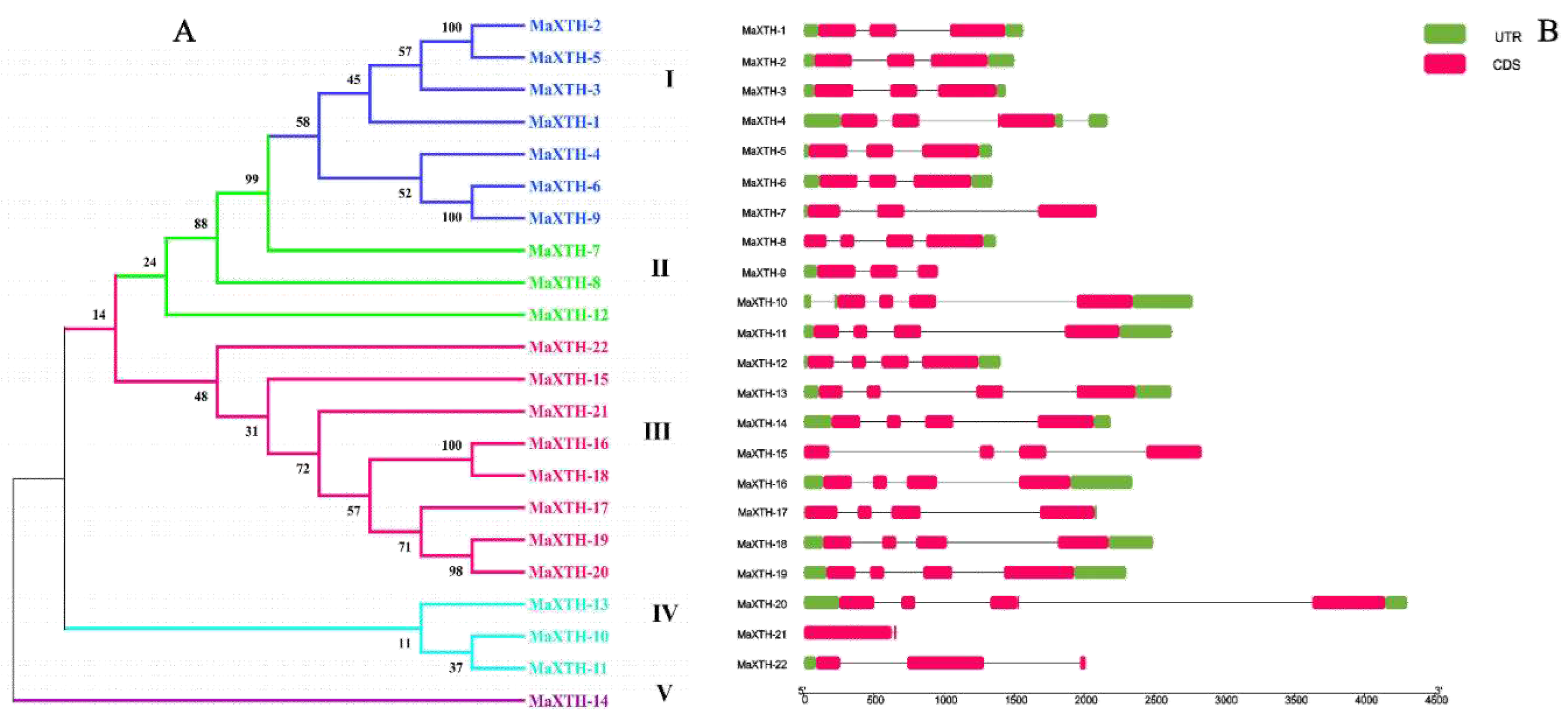 Preprints 93056 g001