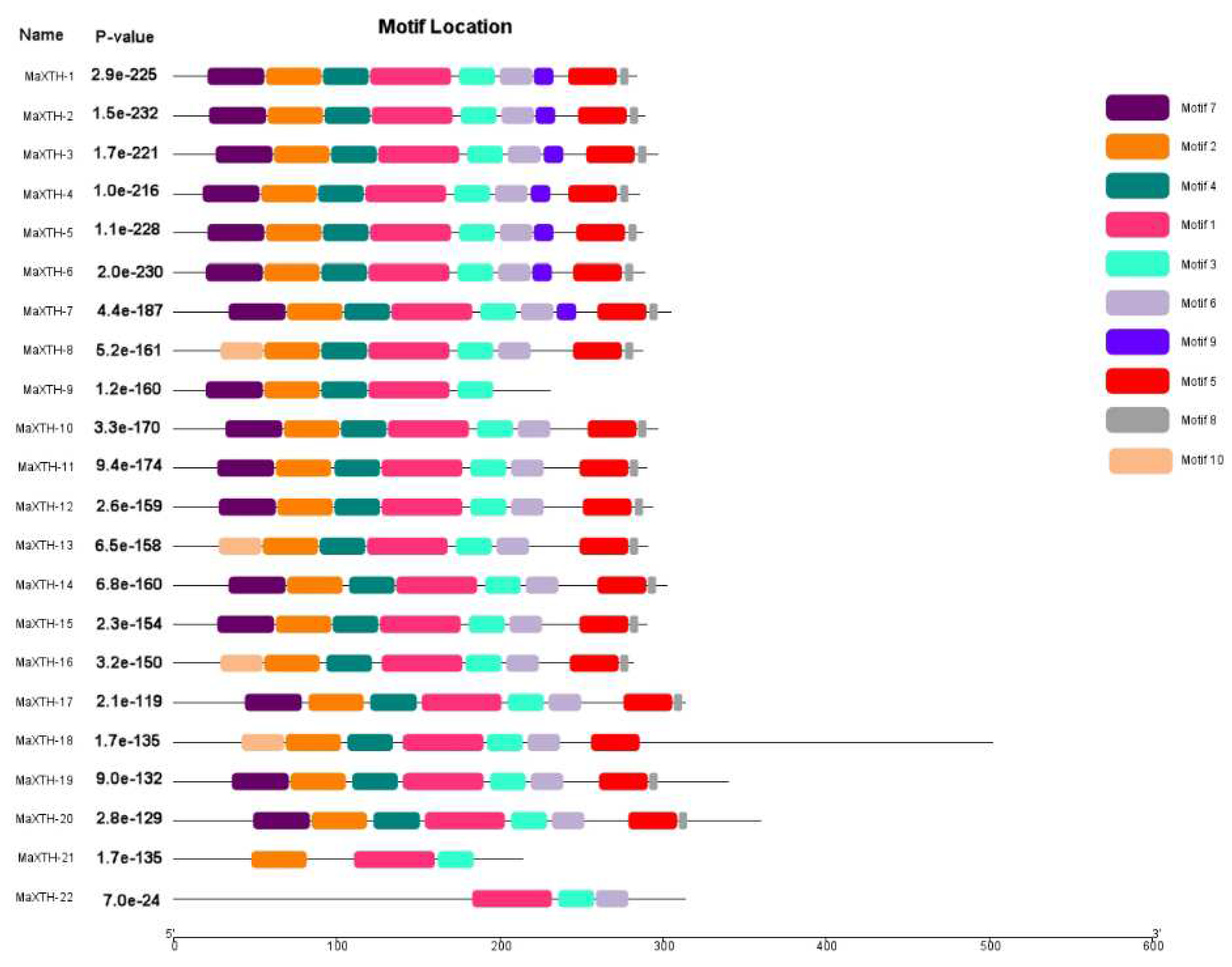 Preprints 93056 g004