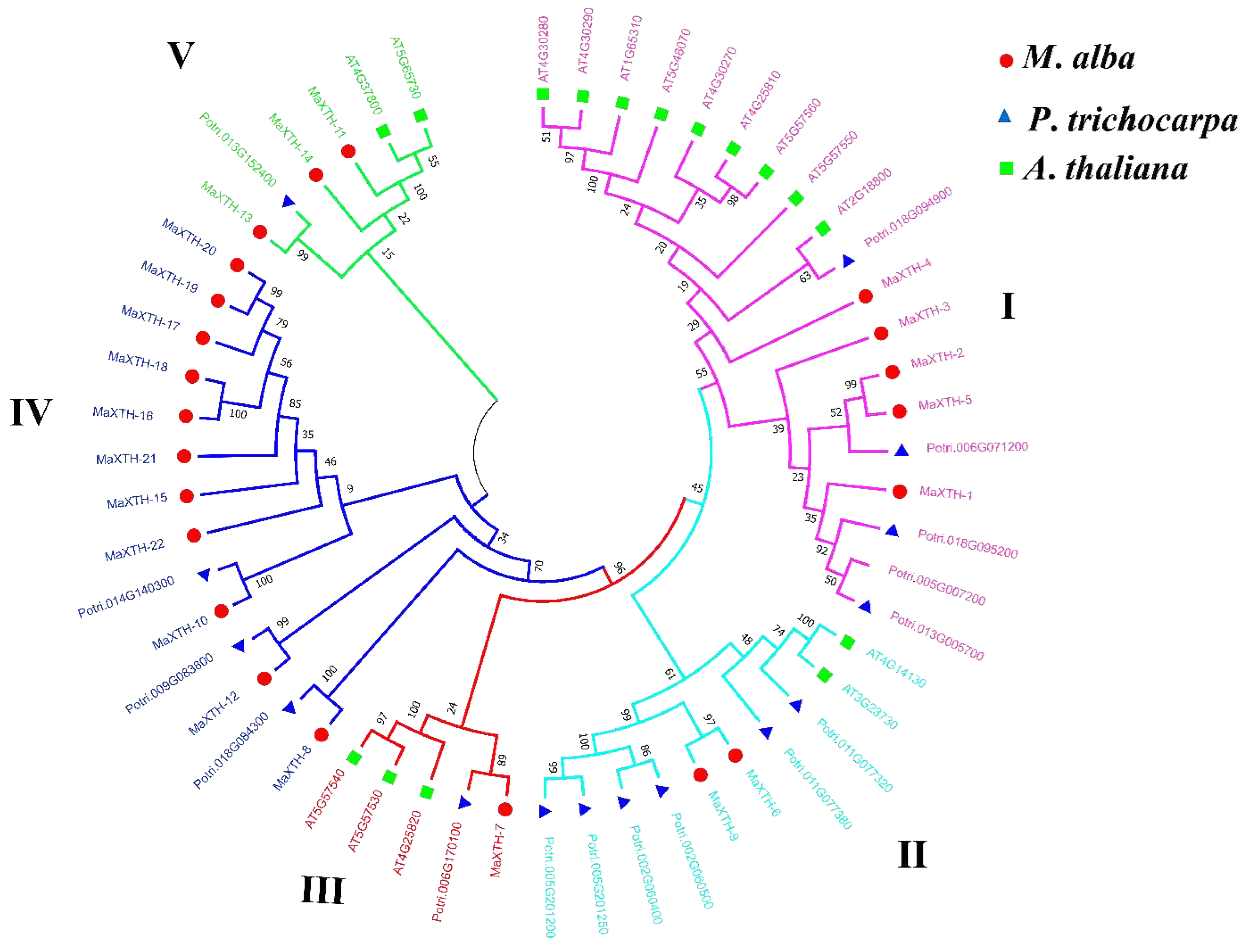 Preprints 93056 g006