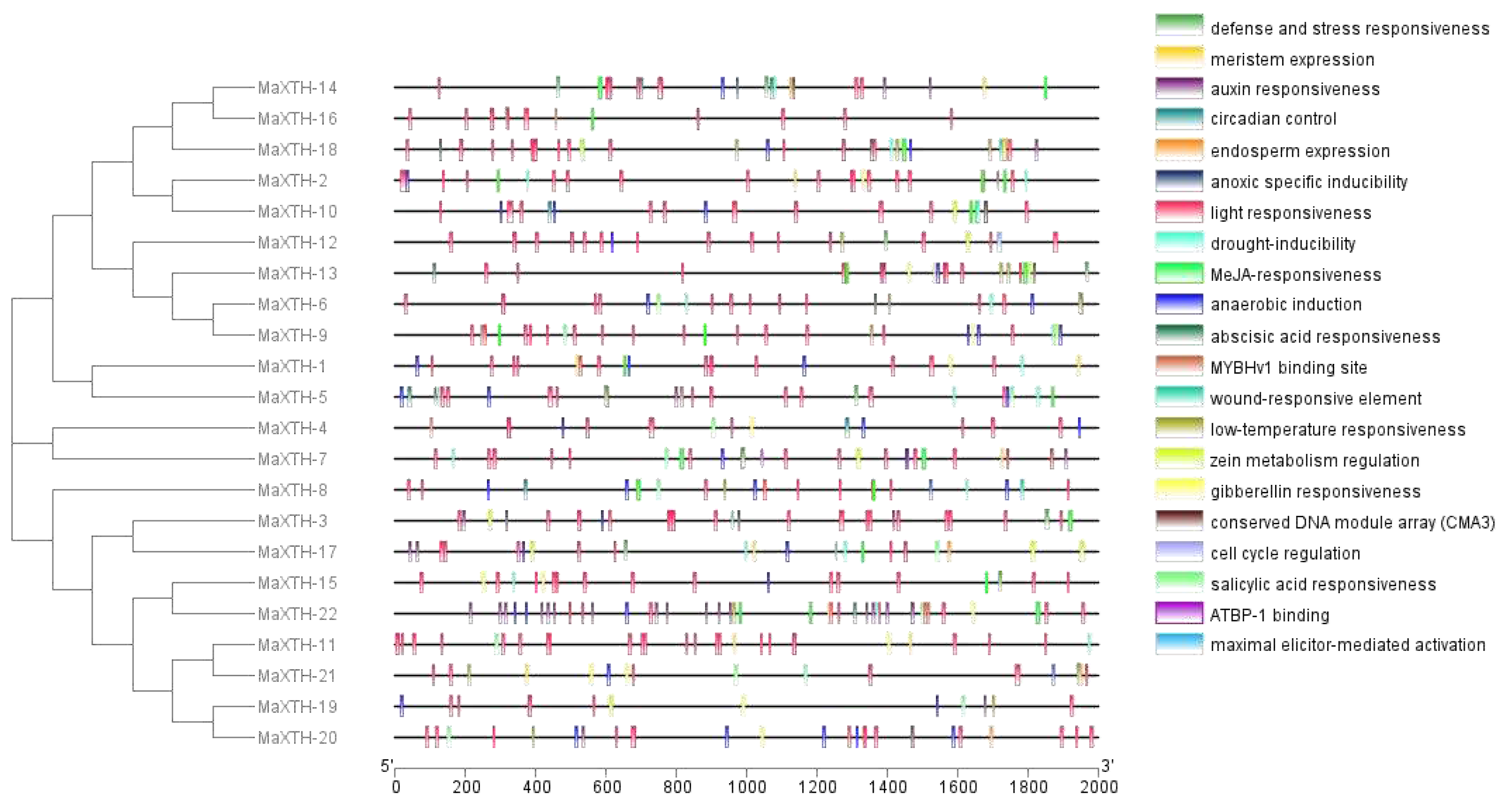 Preprints 93056 g007