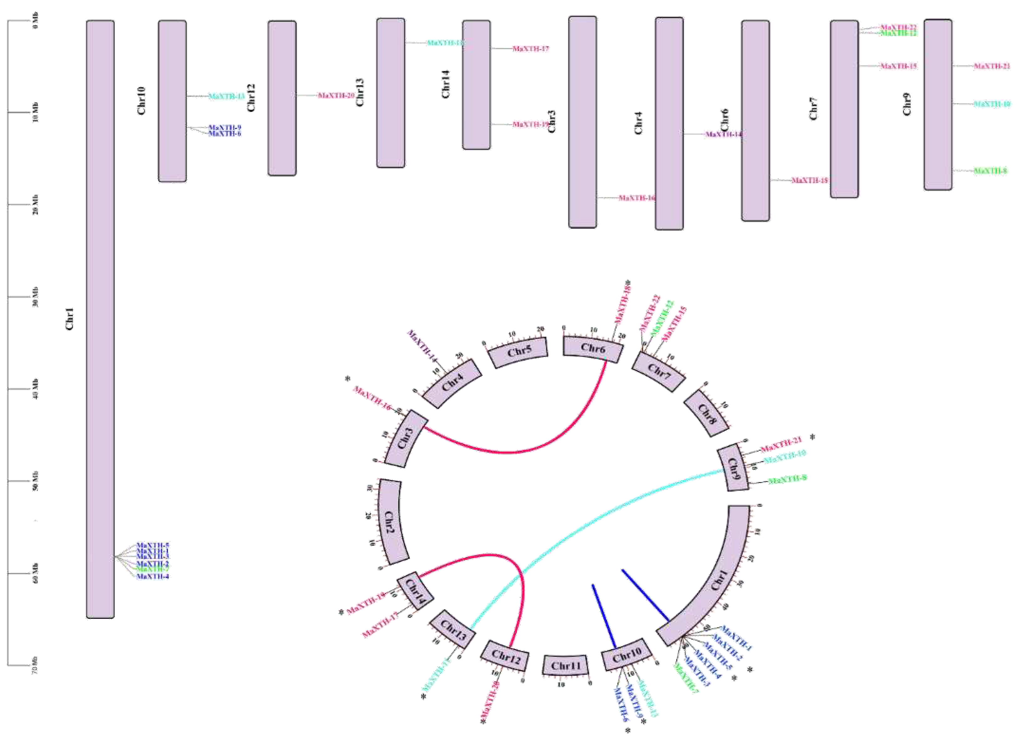 Preprints 93056 g009