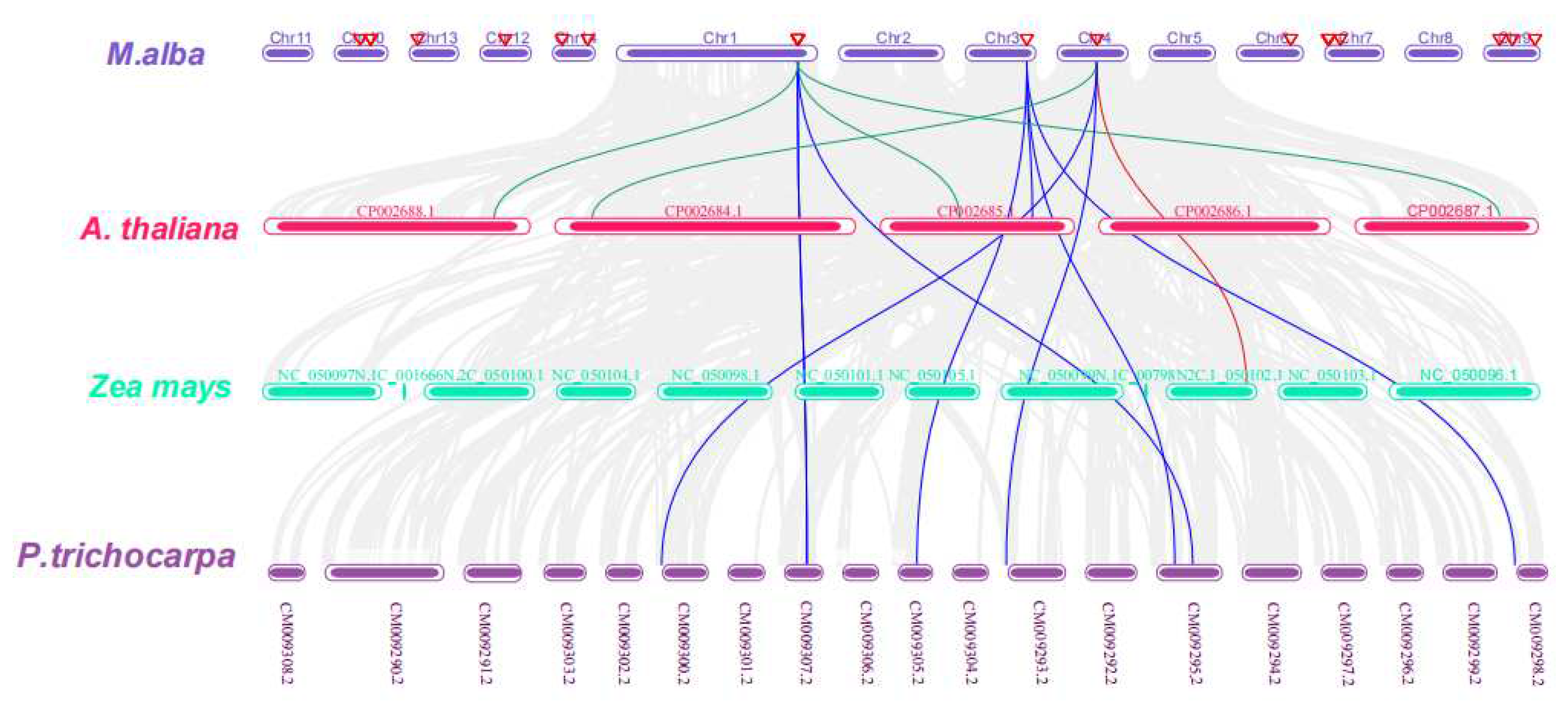 Preprints 93056 g010