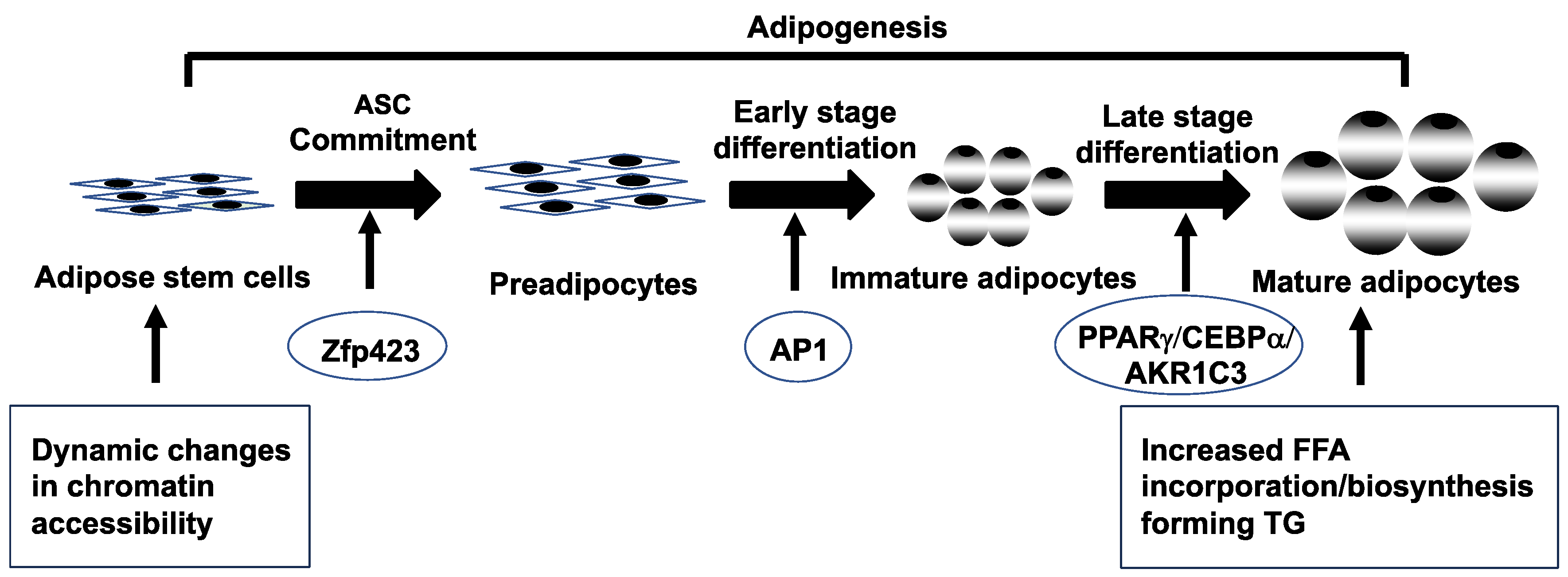 Preprints 82884 g002