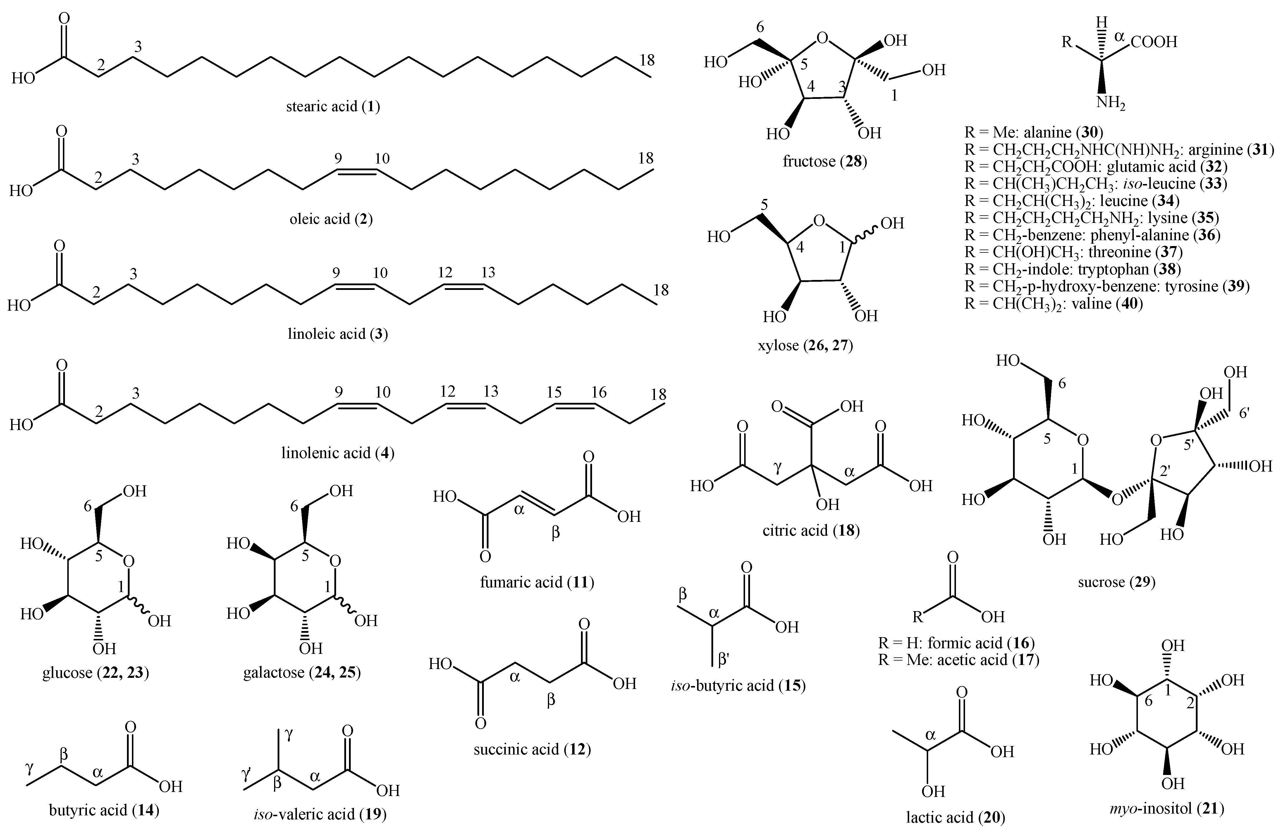 Preprints 113122 g002