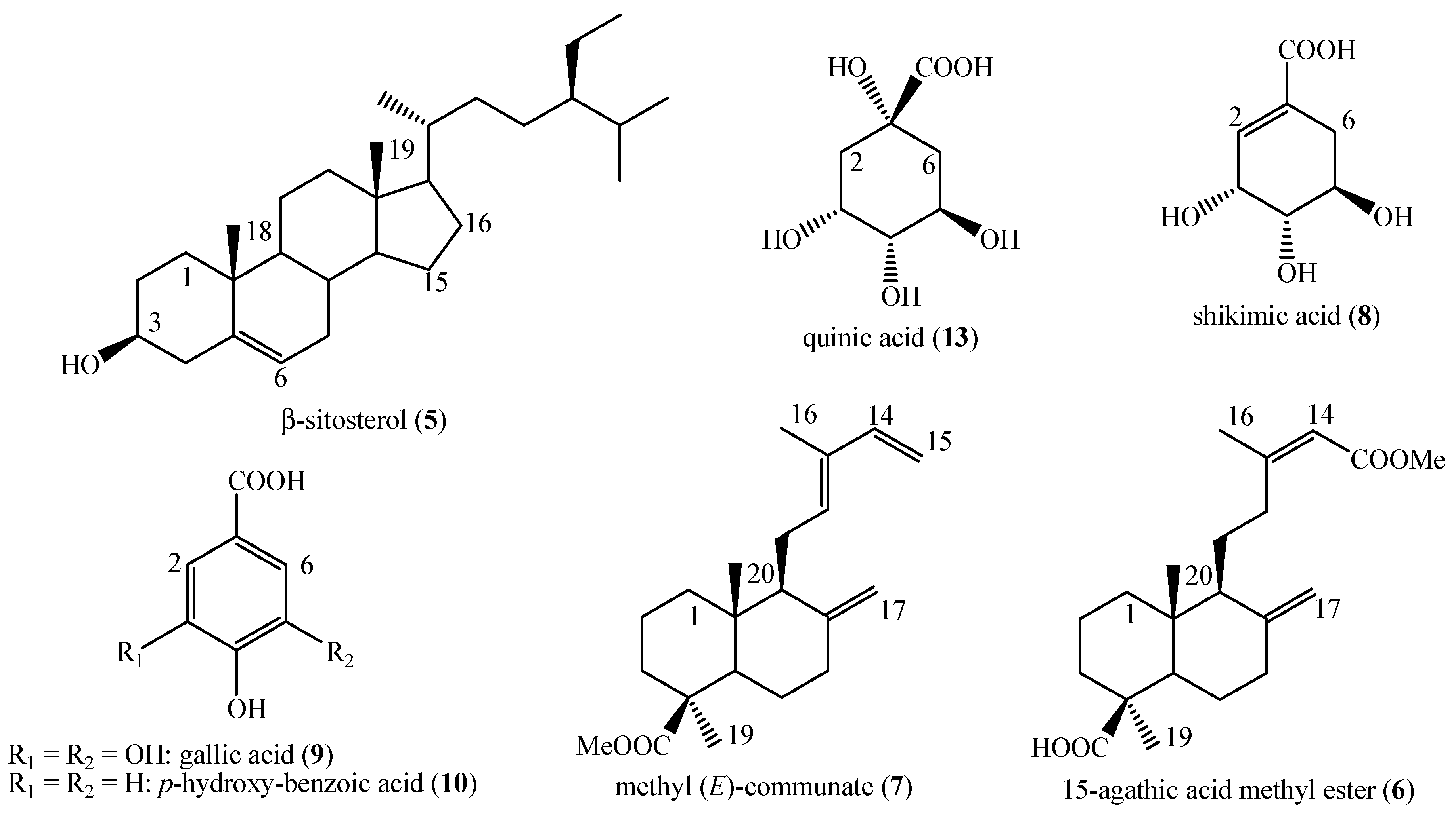 Preprints 113122 g003