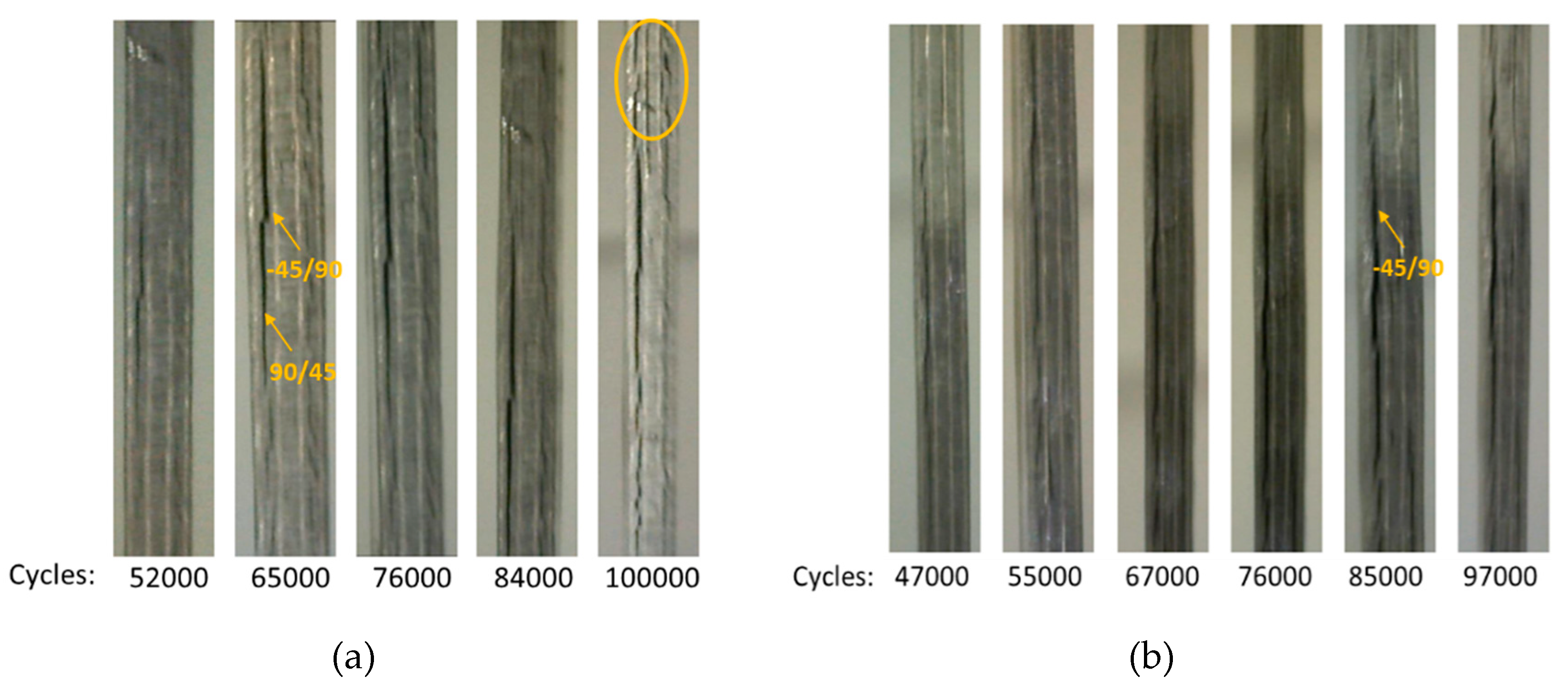 Preprints 92937 g014