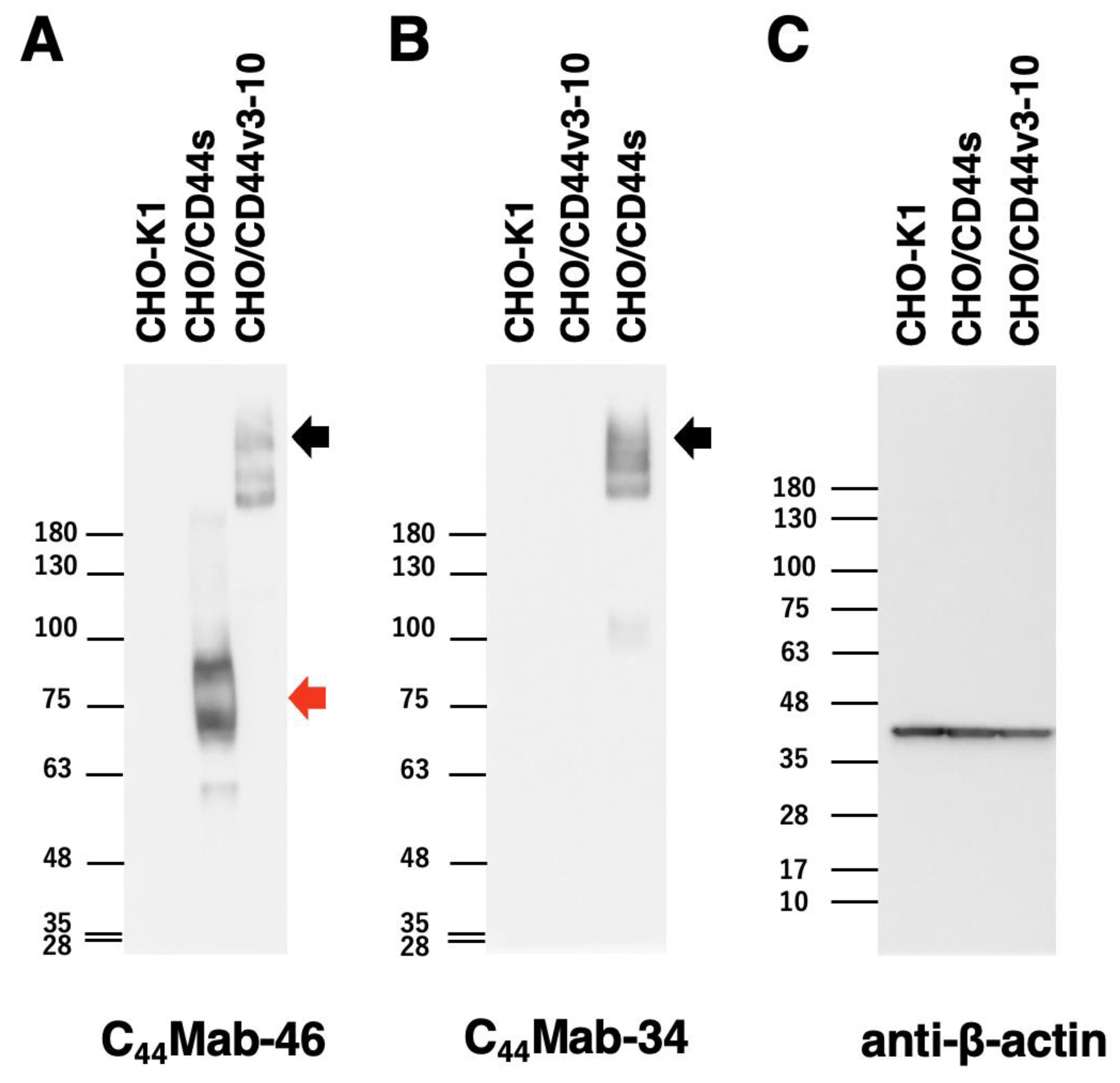 Preprints 69178 g004