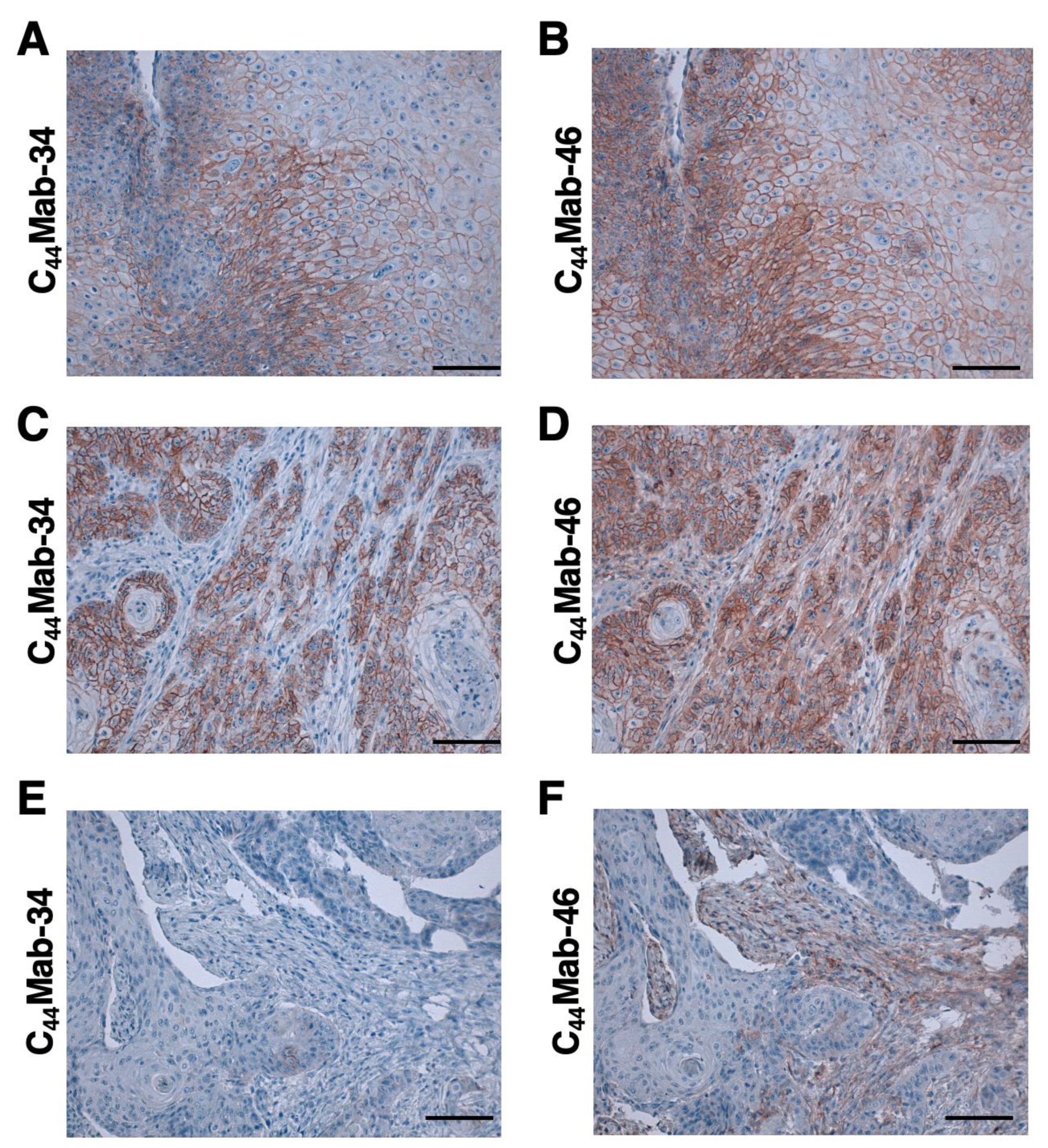 Preprints 69178 g005