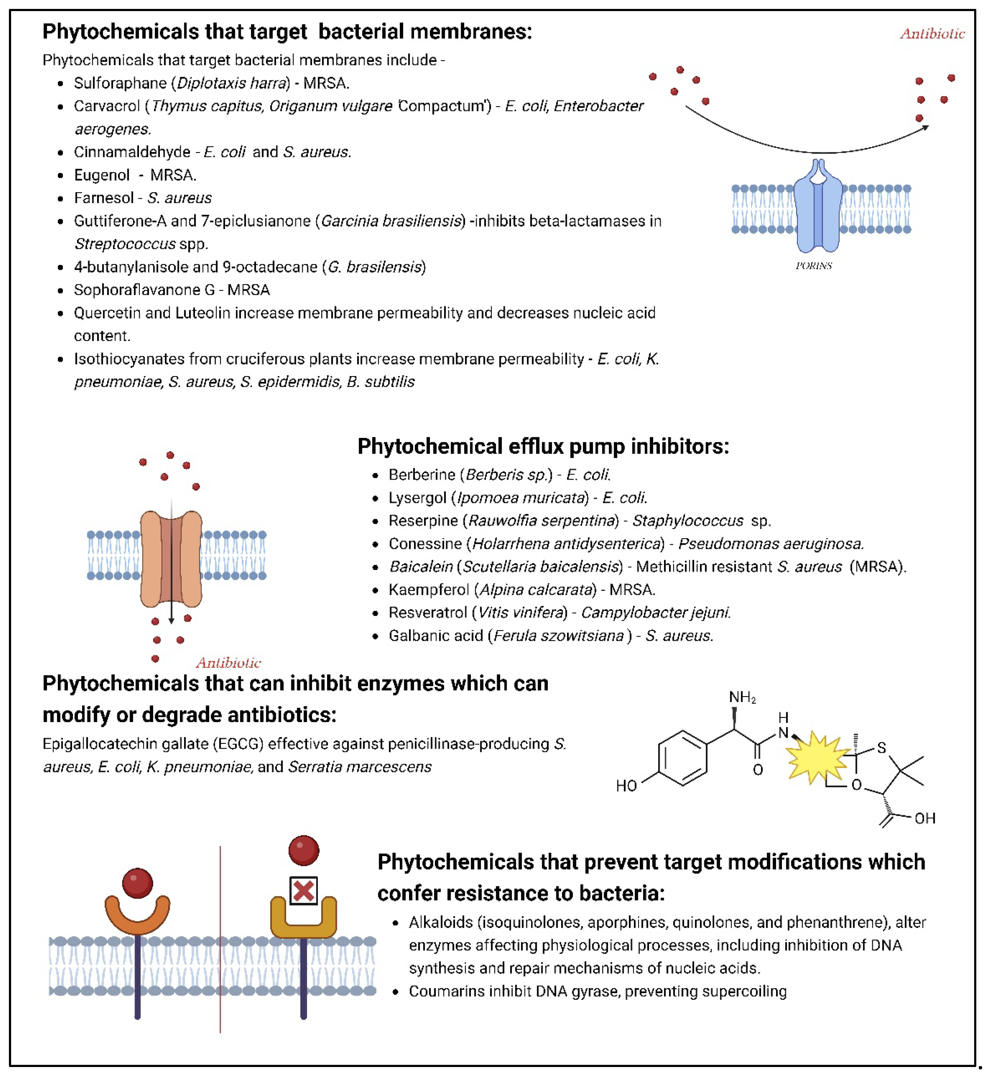 Preprints 109317 g008