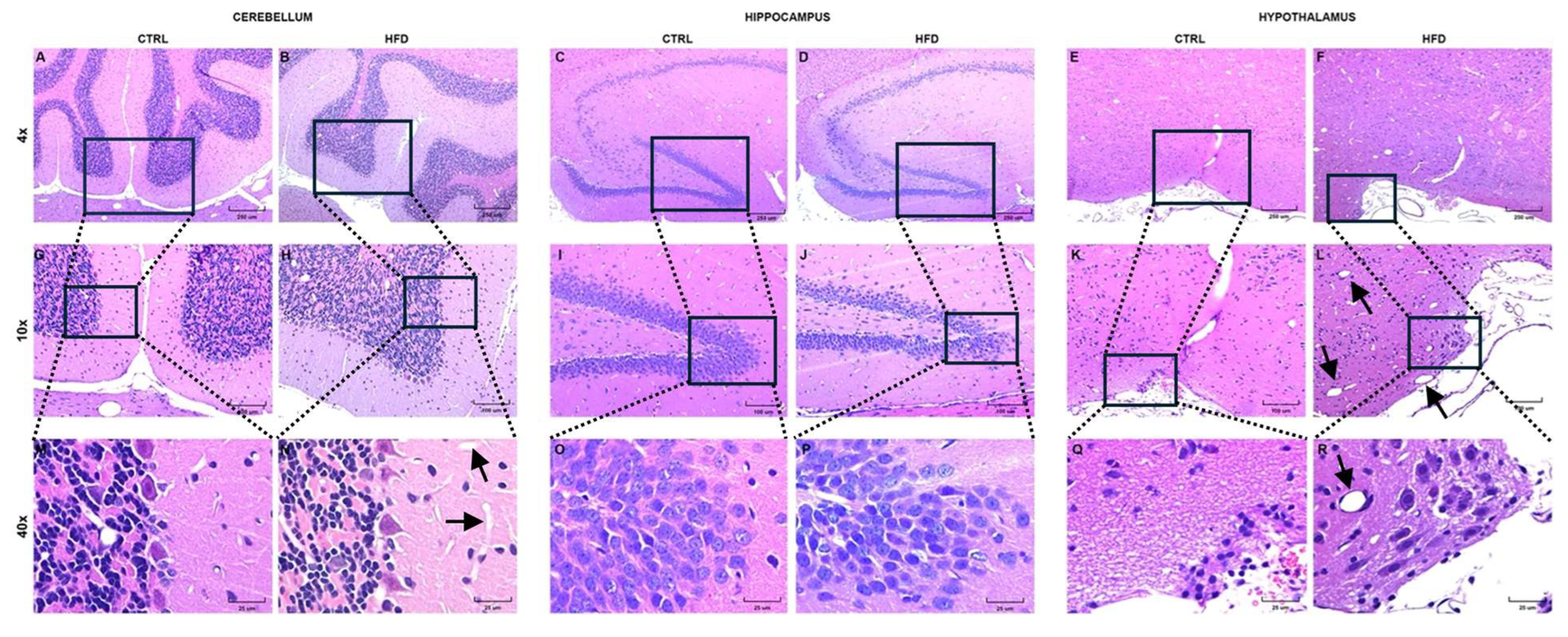 Preprints 119198 g004