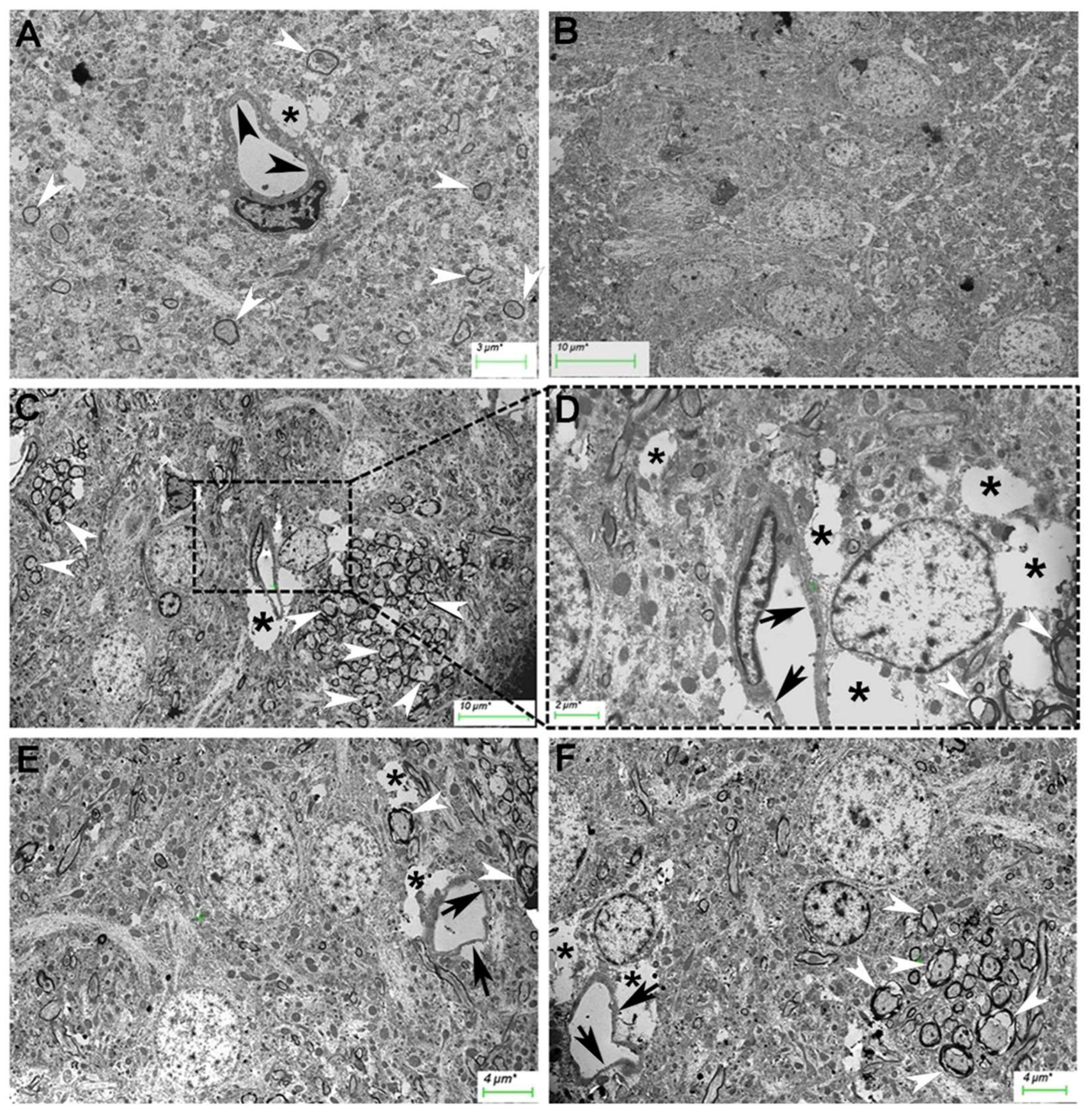 Preprints 119198 g006