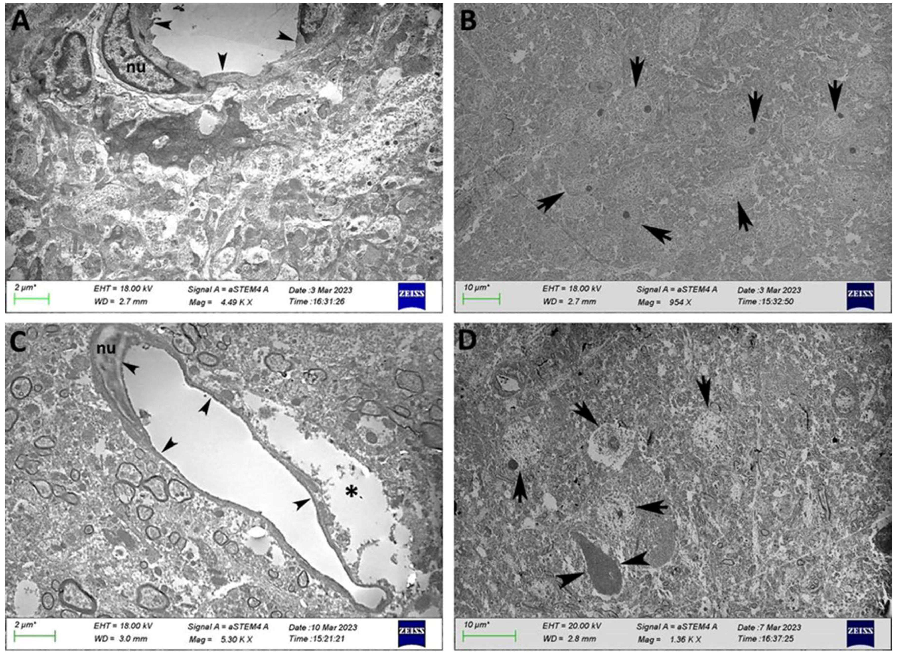 Preprints 119198 g007