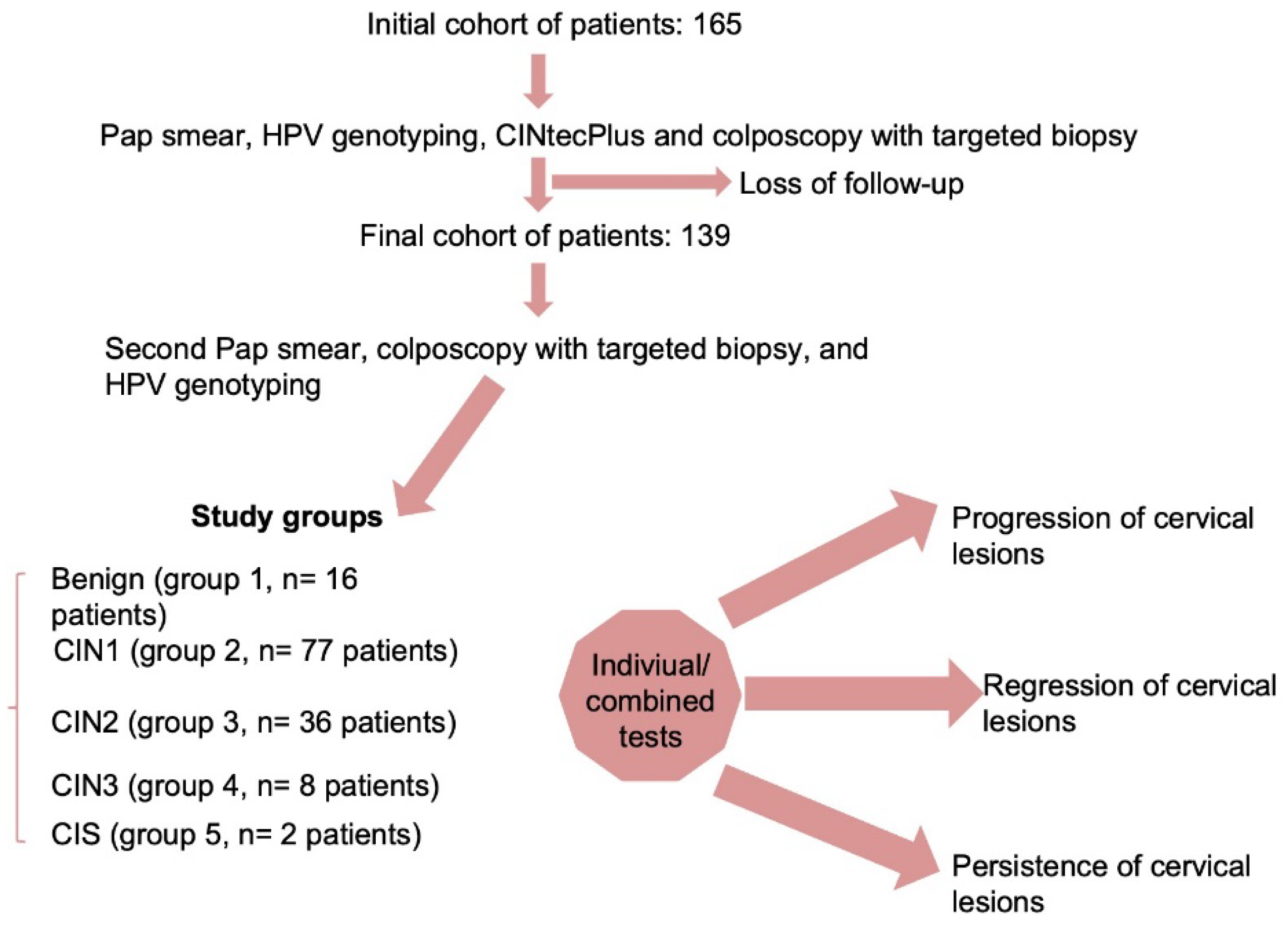 Preprints 99461 g001