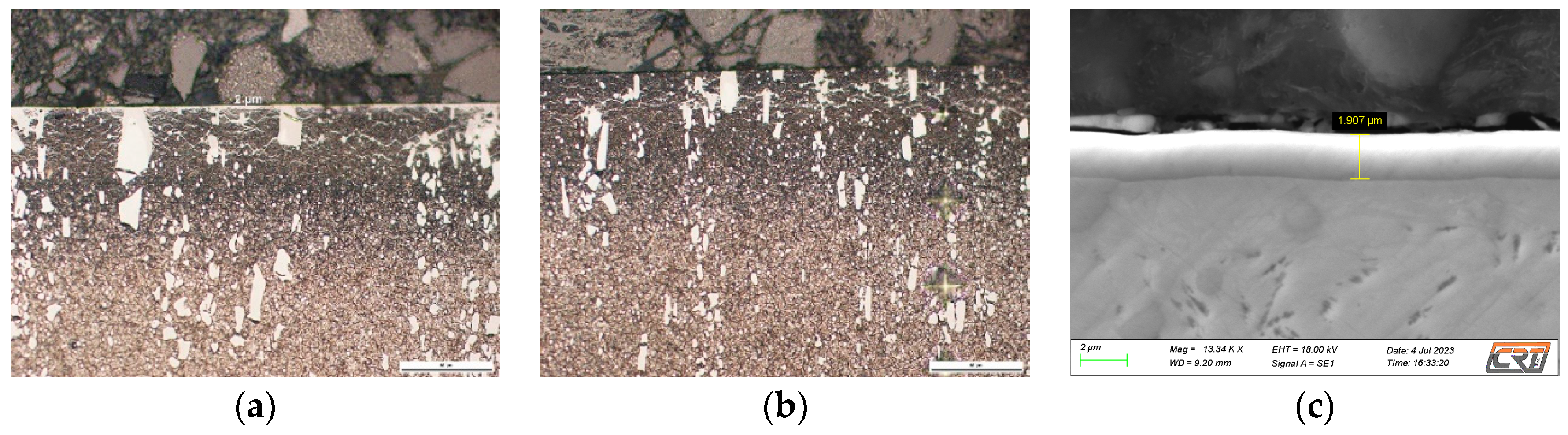 Preprints 86422 g002a