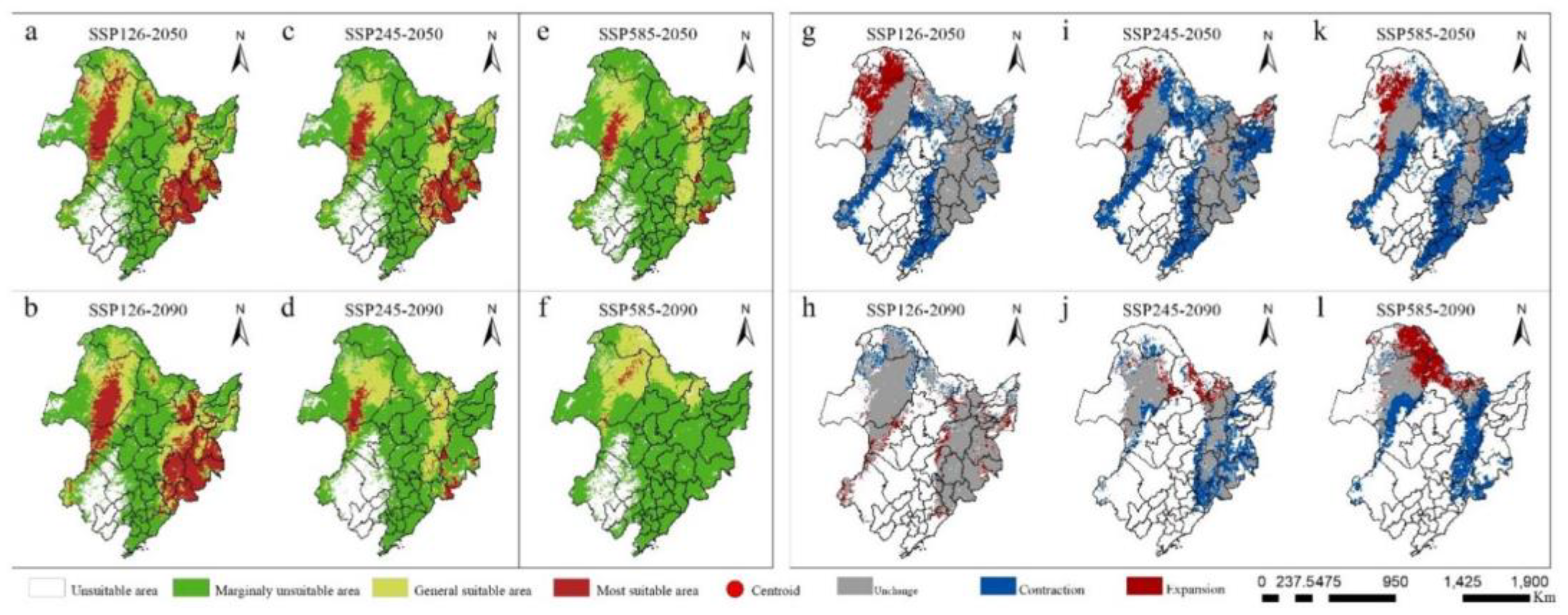 Preprints 117126 g005