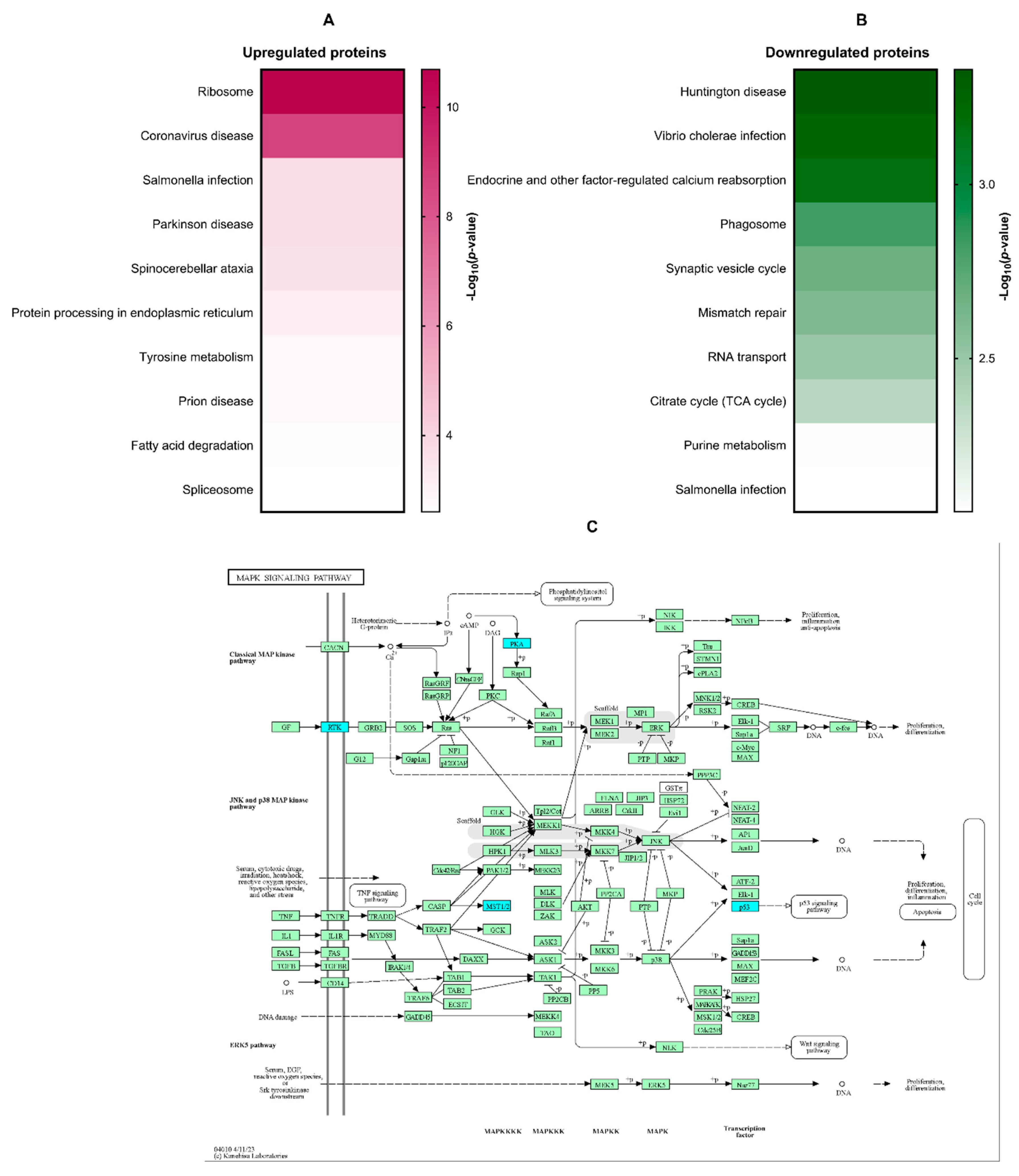 Preprints 108768 g004