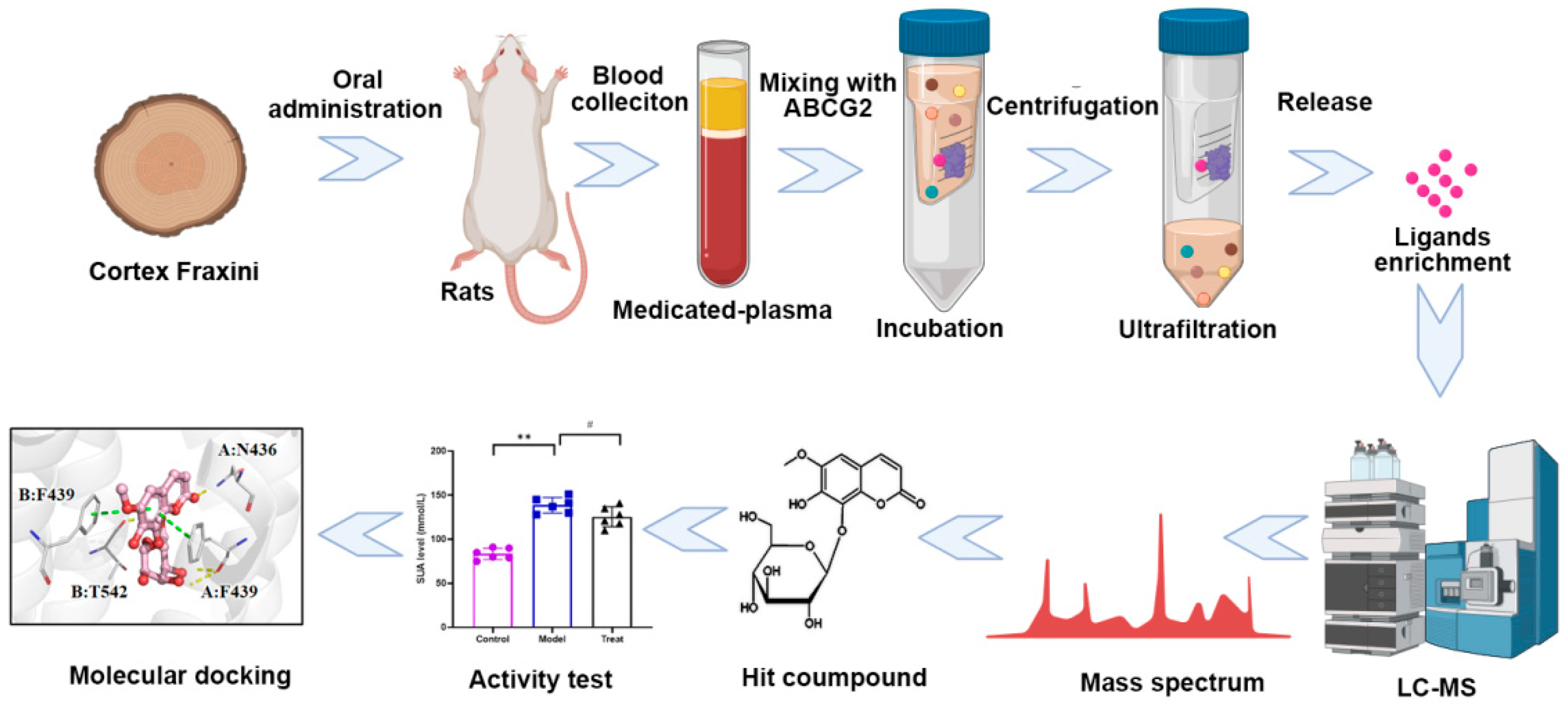 Preprints 89870 g001