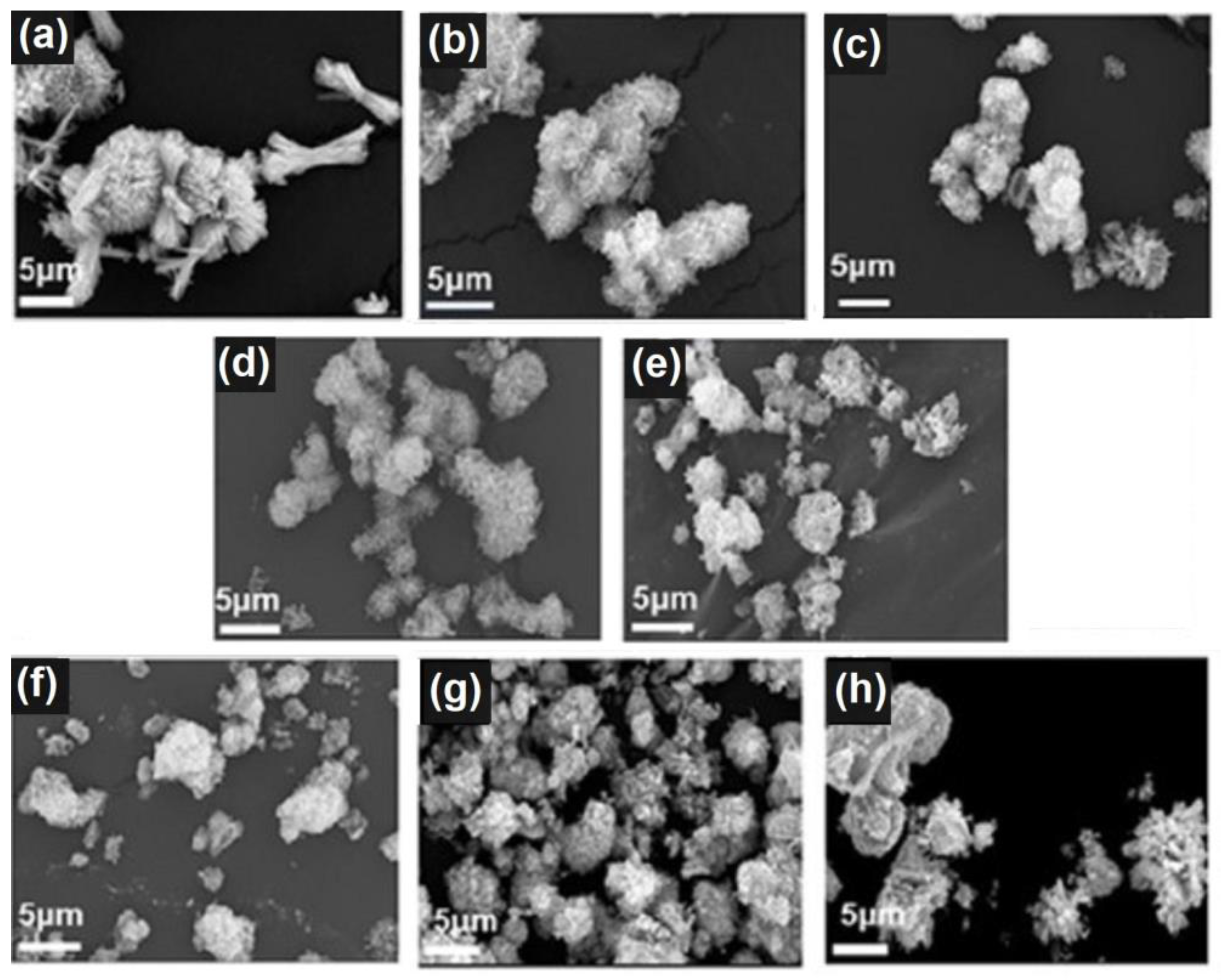 Preprints 76393 g002