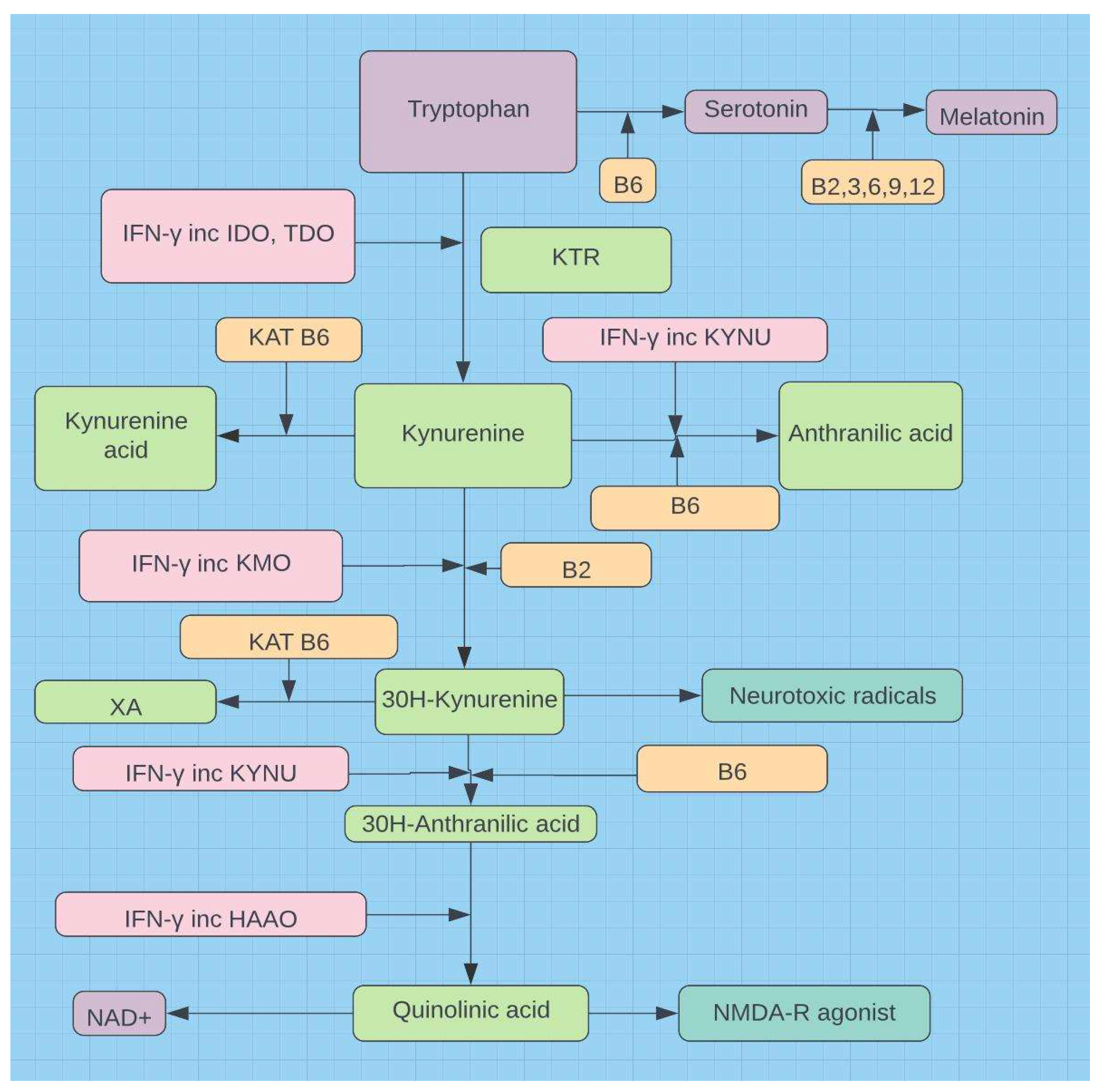 Preprints 78169 g005