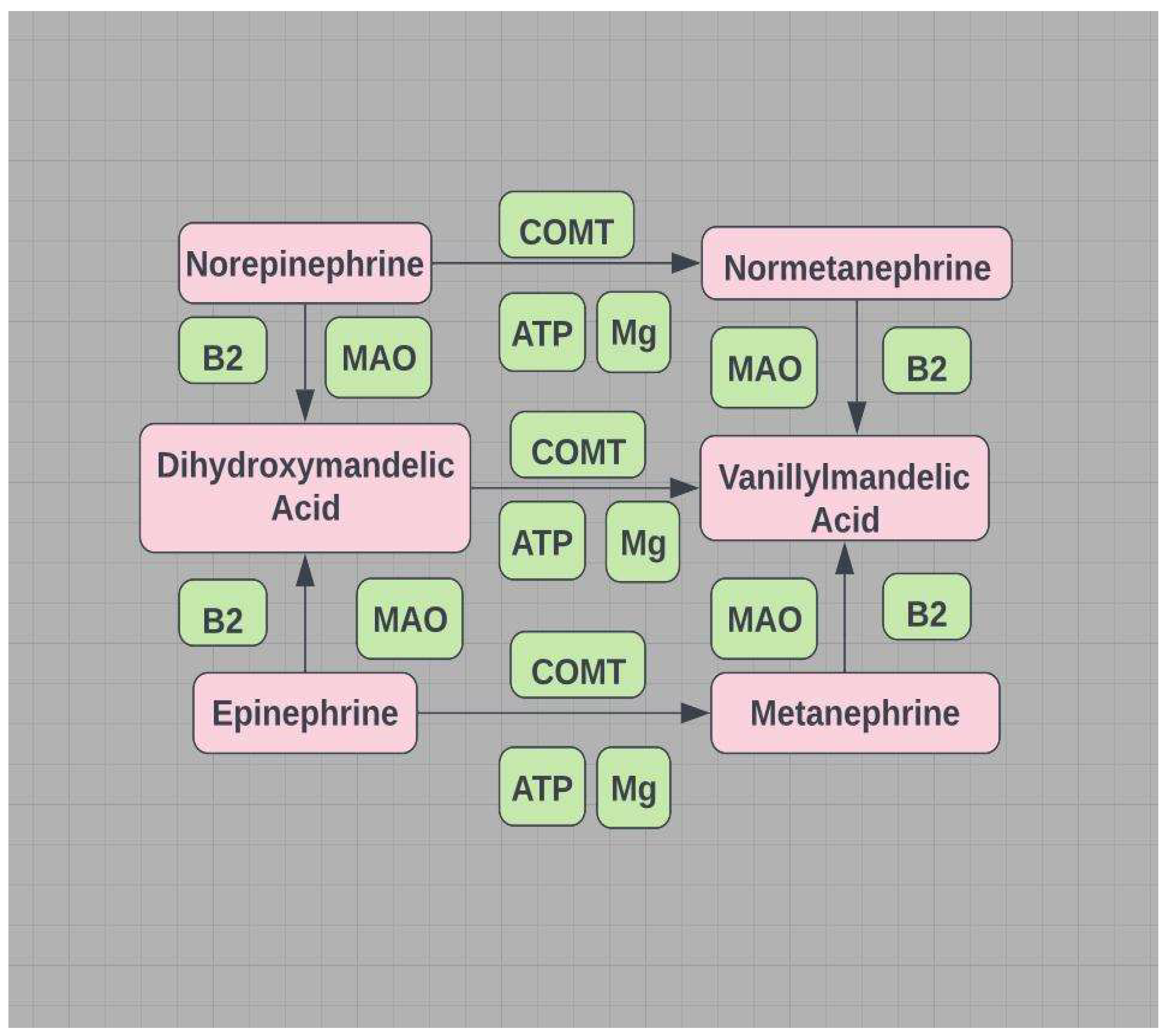 Preprints 78169 g010