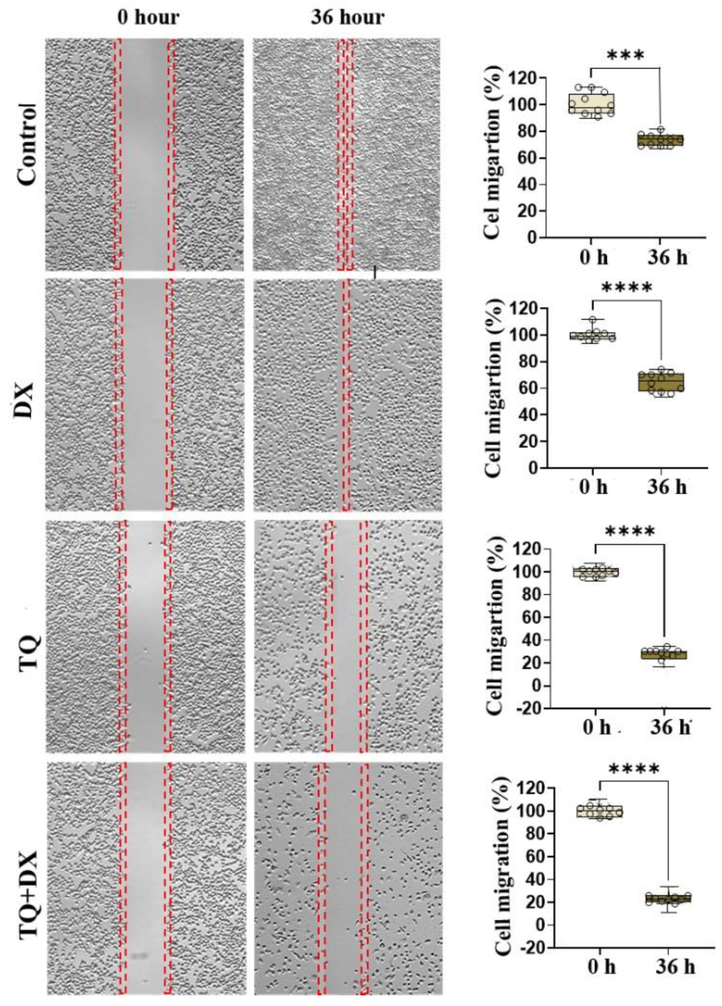 Preprints 113448 g003