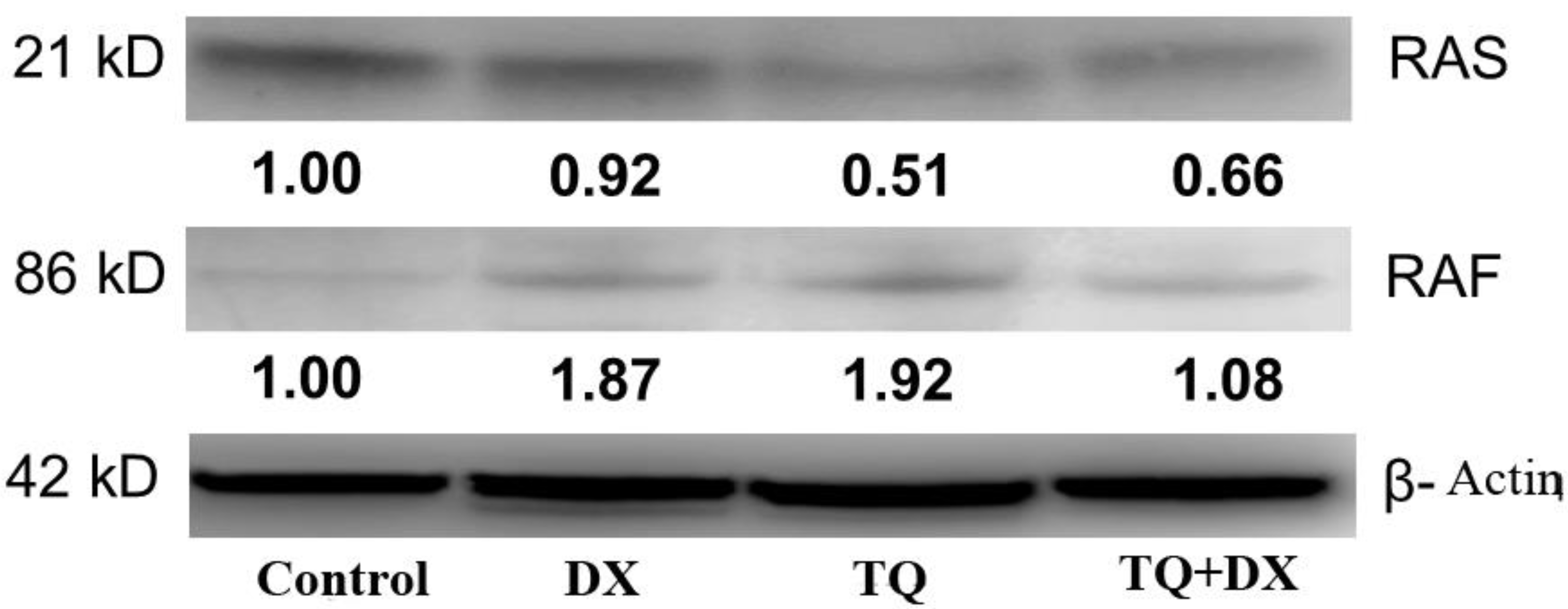 Preprints 113448 g006