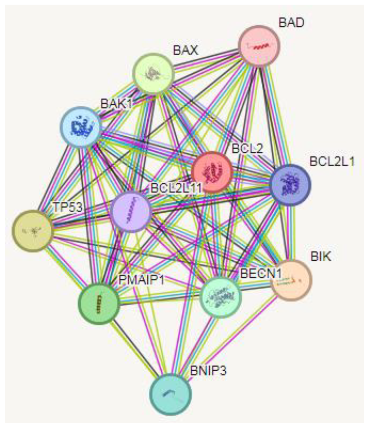 Preprints 113448 g007