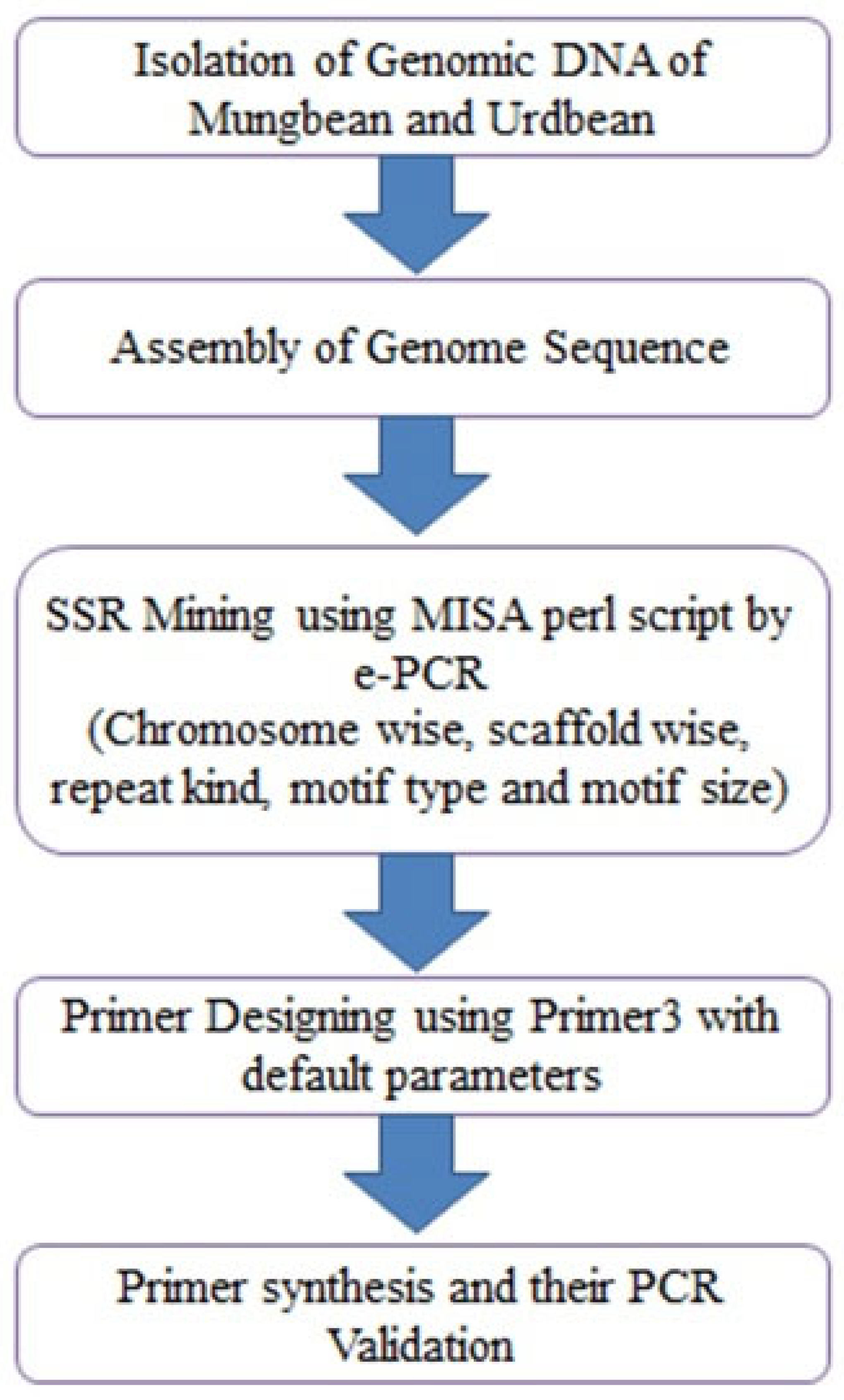 Preprints 81755 g001