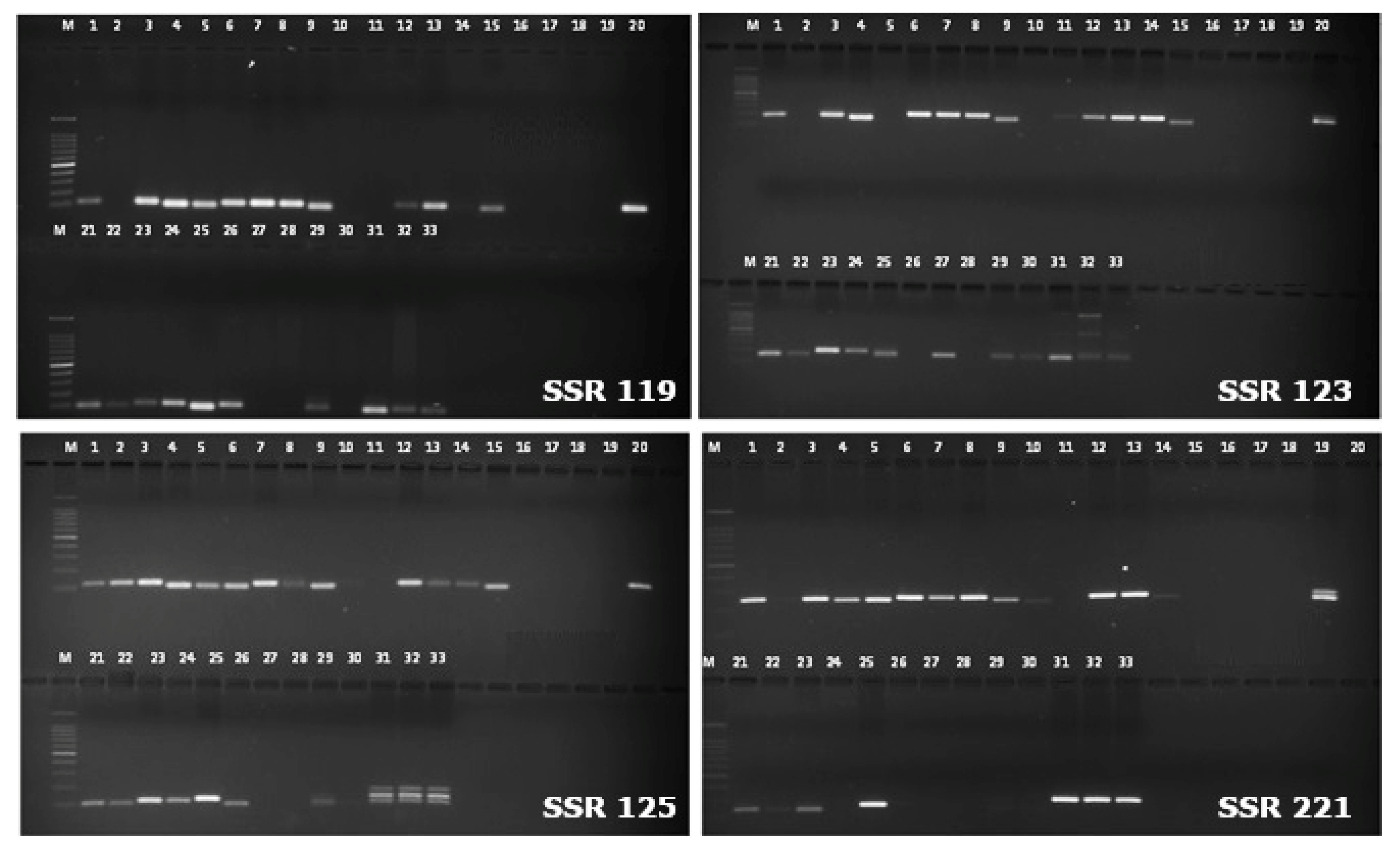 Preprints 81755 g002