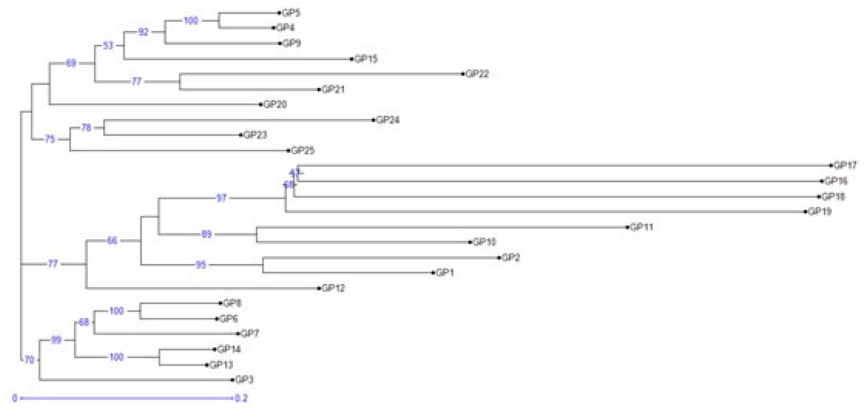 Preprints 81755 g003