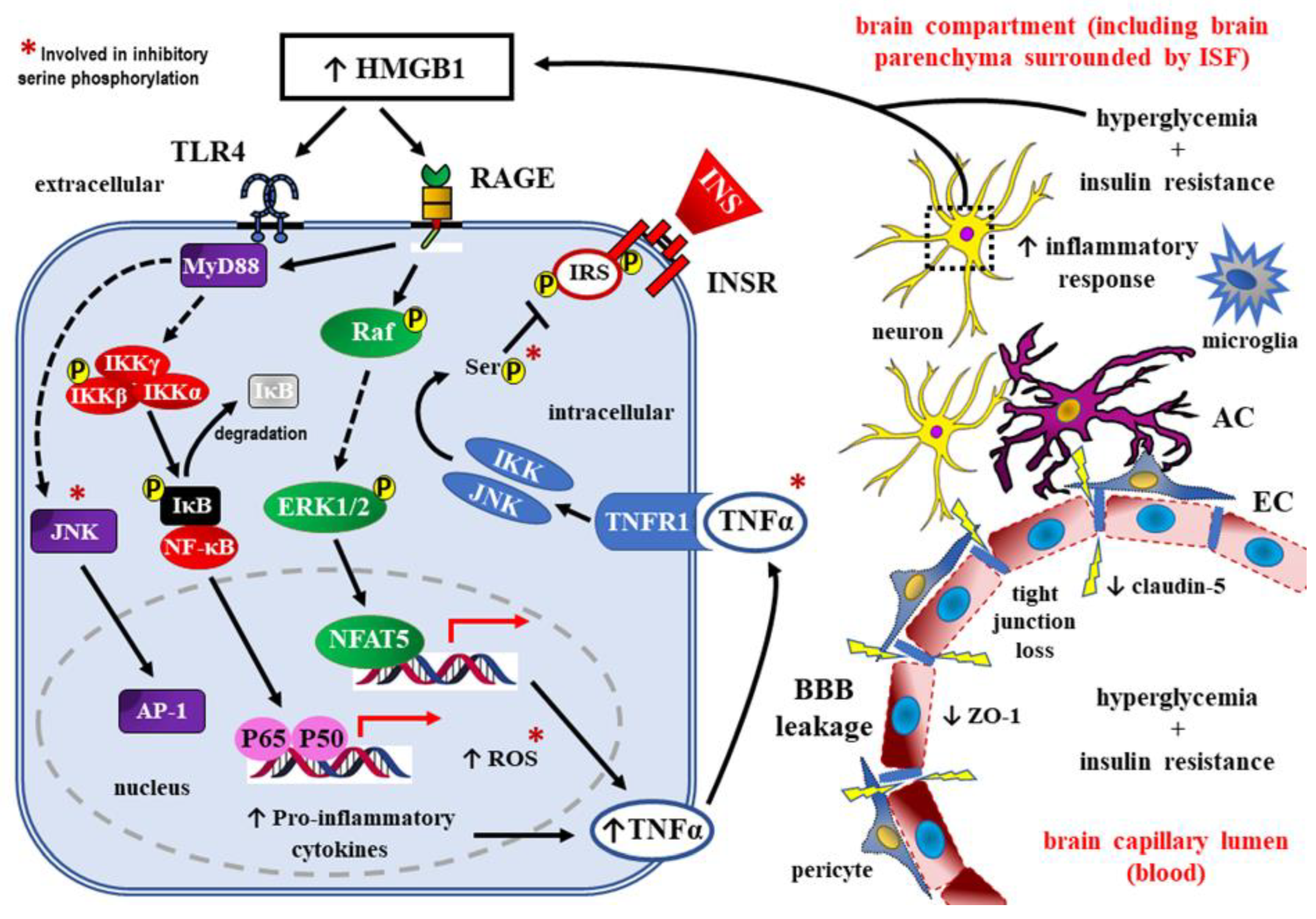 Preprints 74944 g004