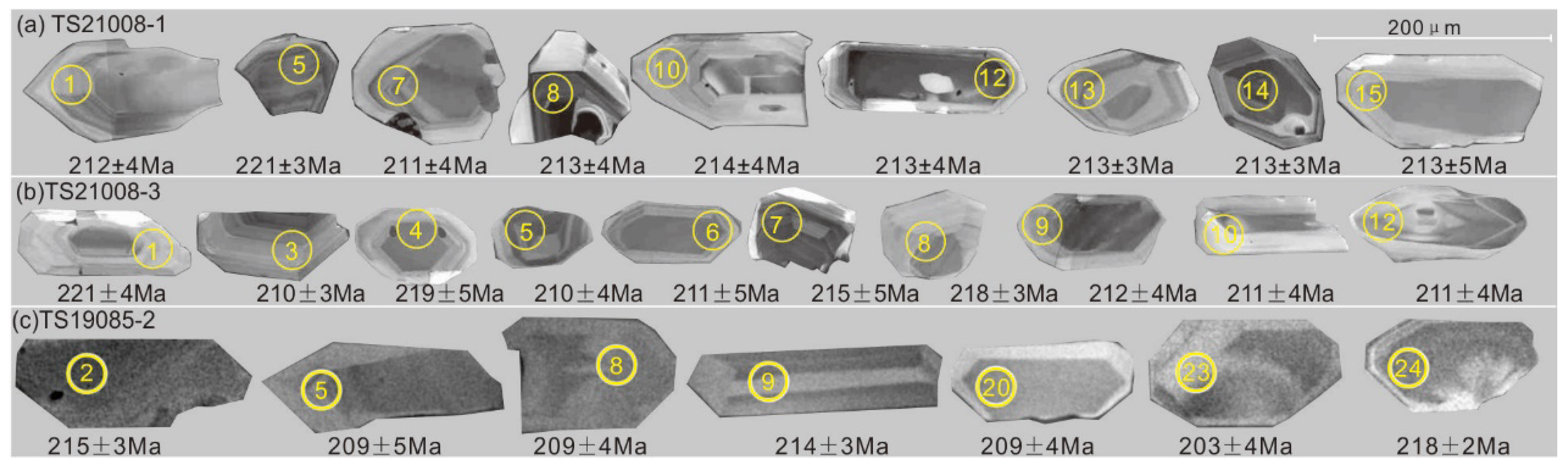 Preprints 90175 g003